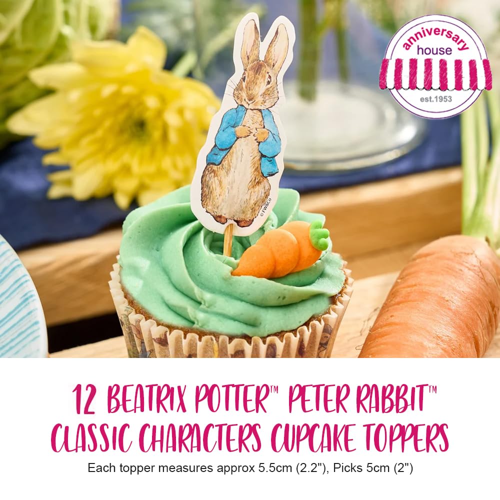 Anniversary House Peter Rabbit Character Party Picks - 12 Double-Sided Paper Toppers | 5.5cm 3