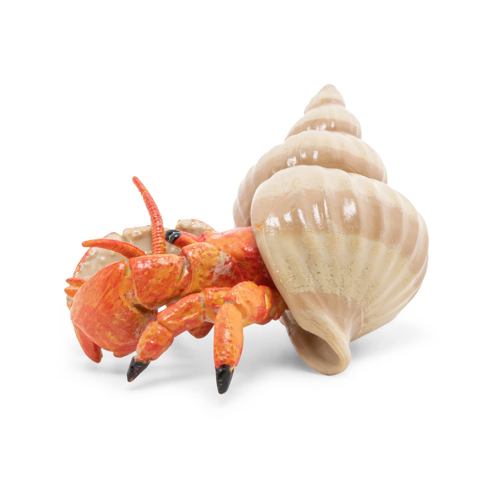 Papo Hermit Crab Figurine - Hand Painted Marine Animal Toy for Kids 3+ | Model 56054 | 6.1 x 4.4 x 2.8 cm 4