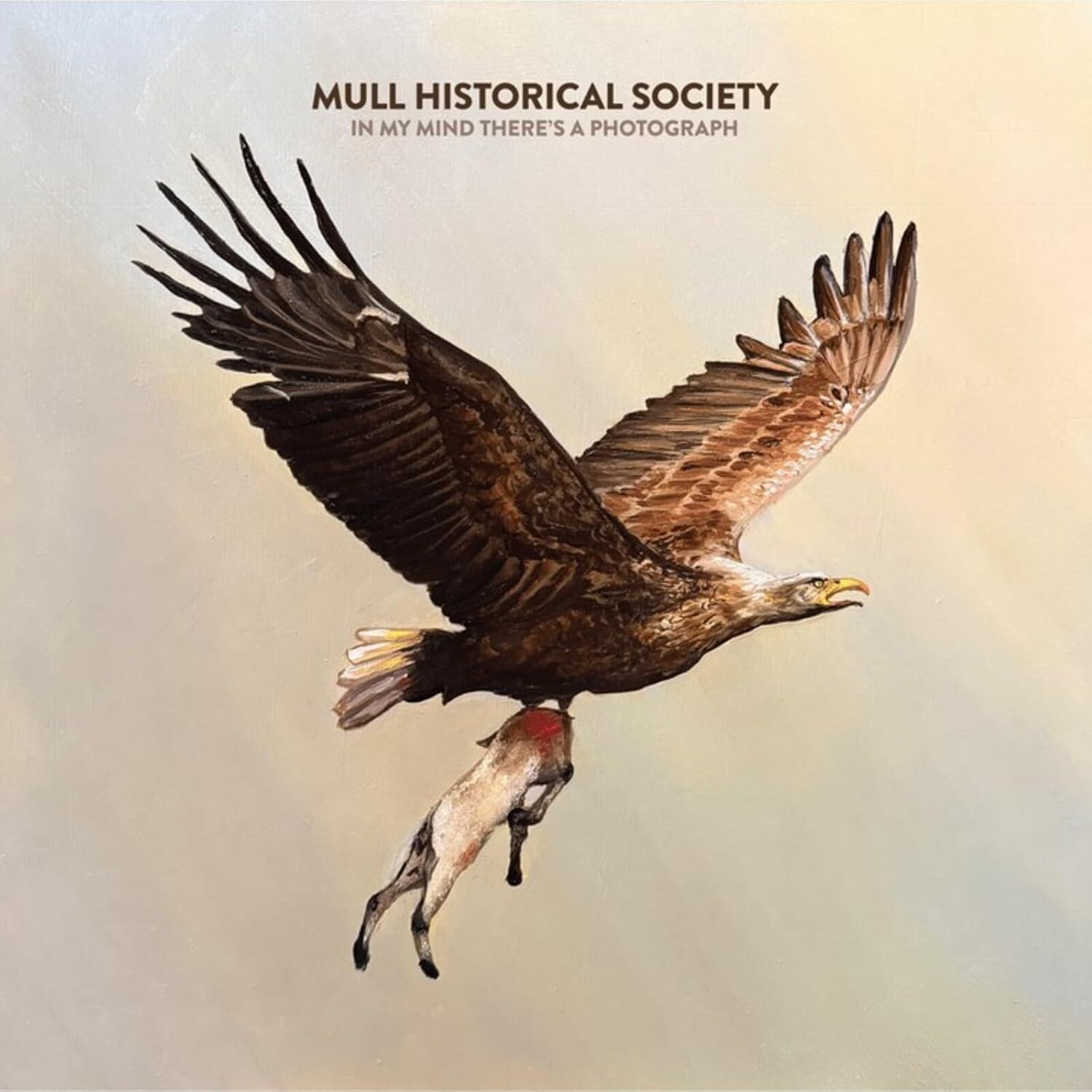 Mull Historical Society - In My Mind There's A Photograph [Audio CD] 1
