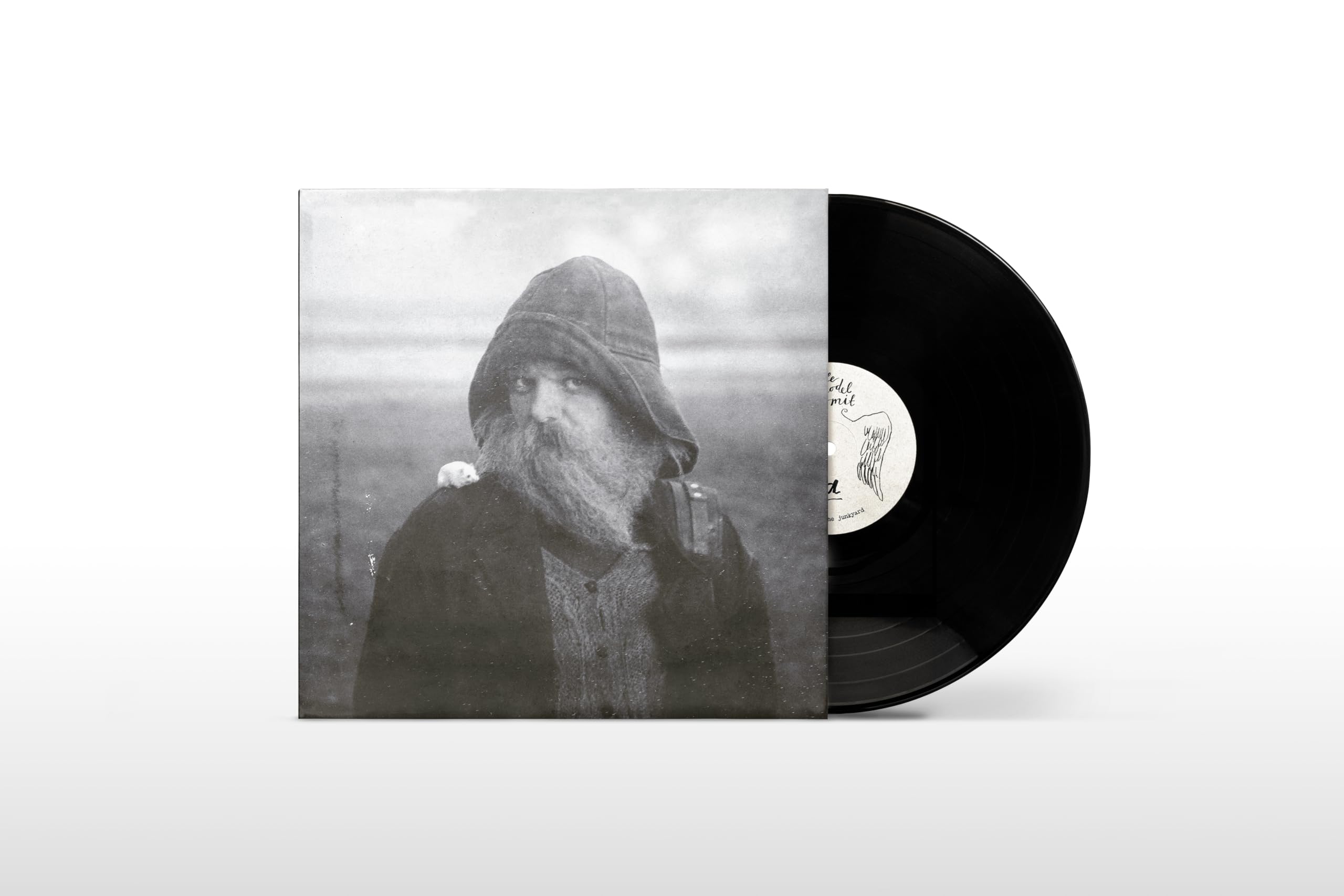 mary in the junkyard - Role Model Hermit [VINYL] 1