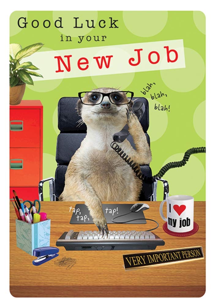 Piccadilly Greetings New Job Greeting Card - 7 x 5 Inches | Unisex-Kids Audience
