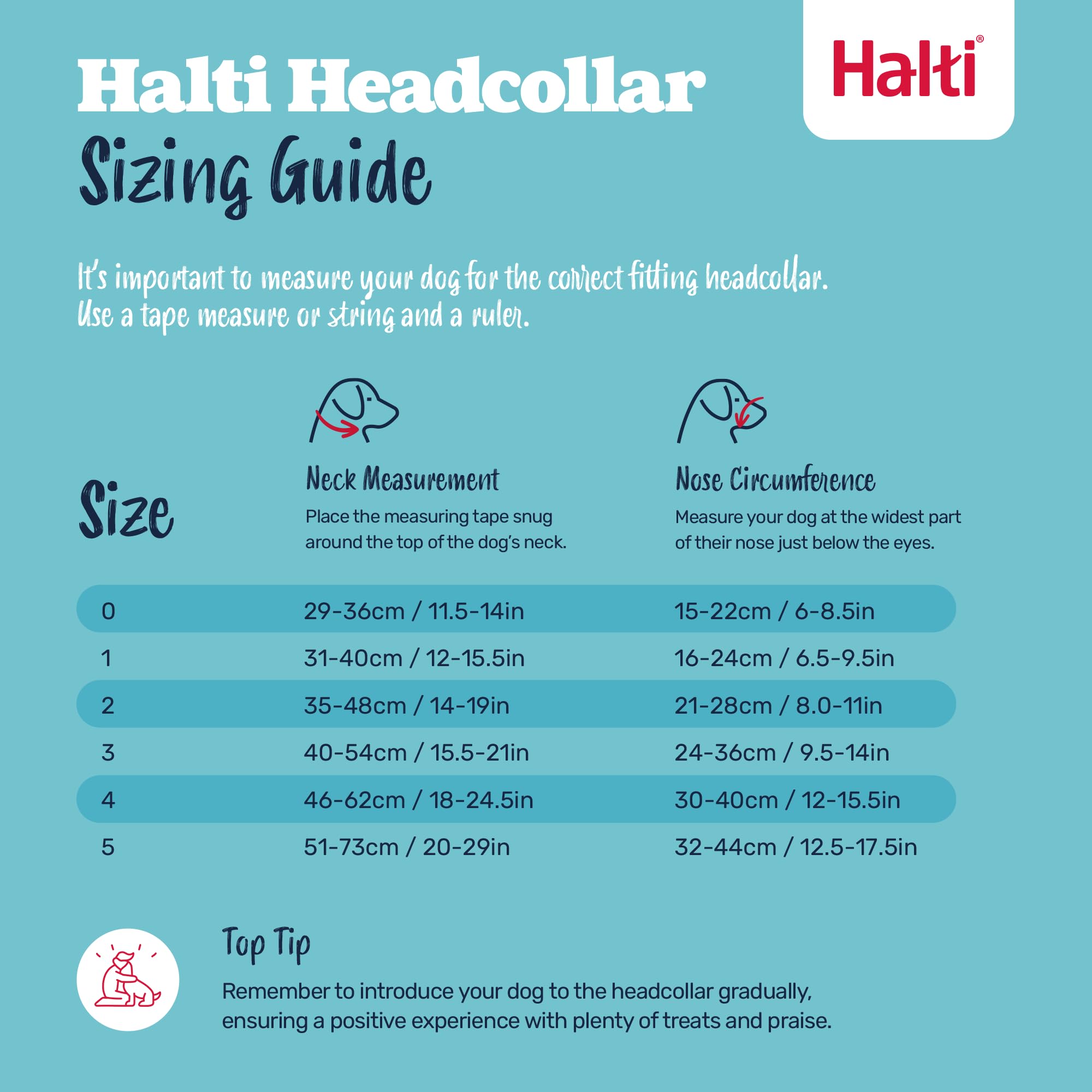 Halti Headcollar for Dogs - Stops Pulling | Size 2, Pink 5