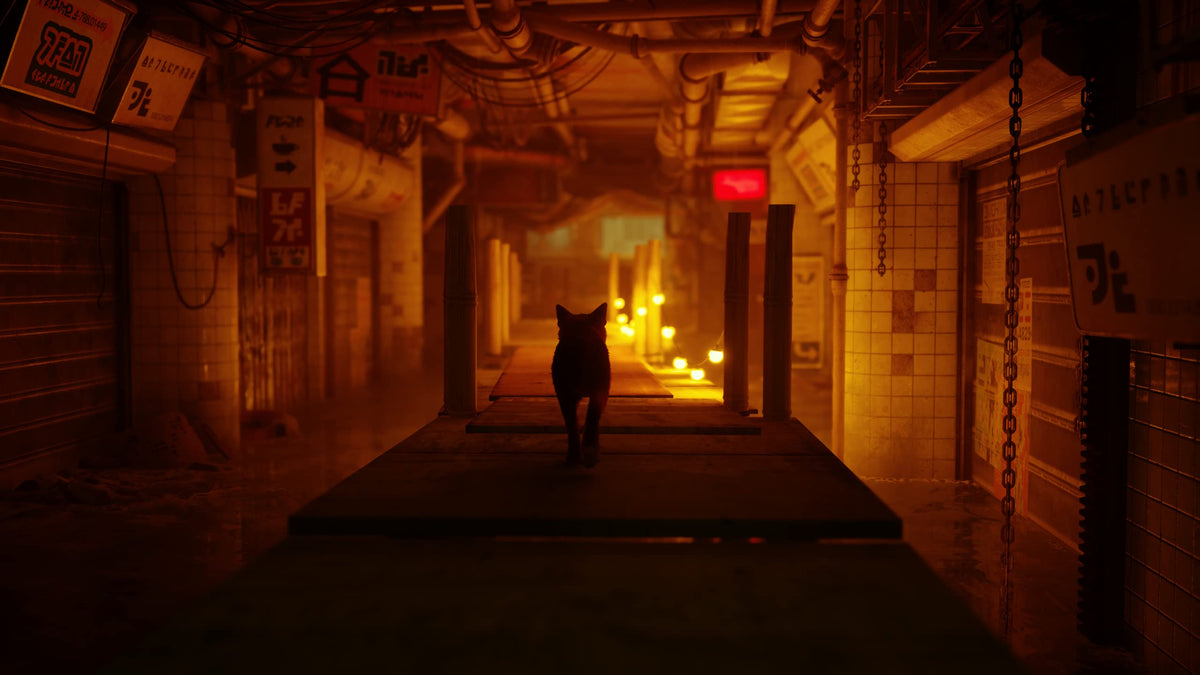 Stray [Xbox Series X]