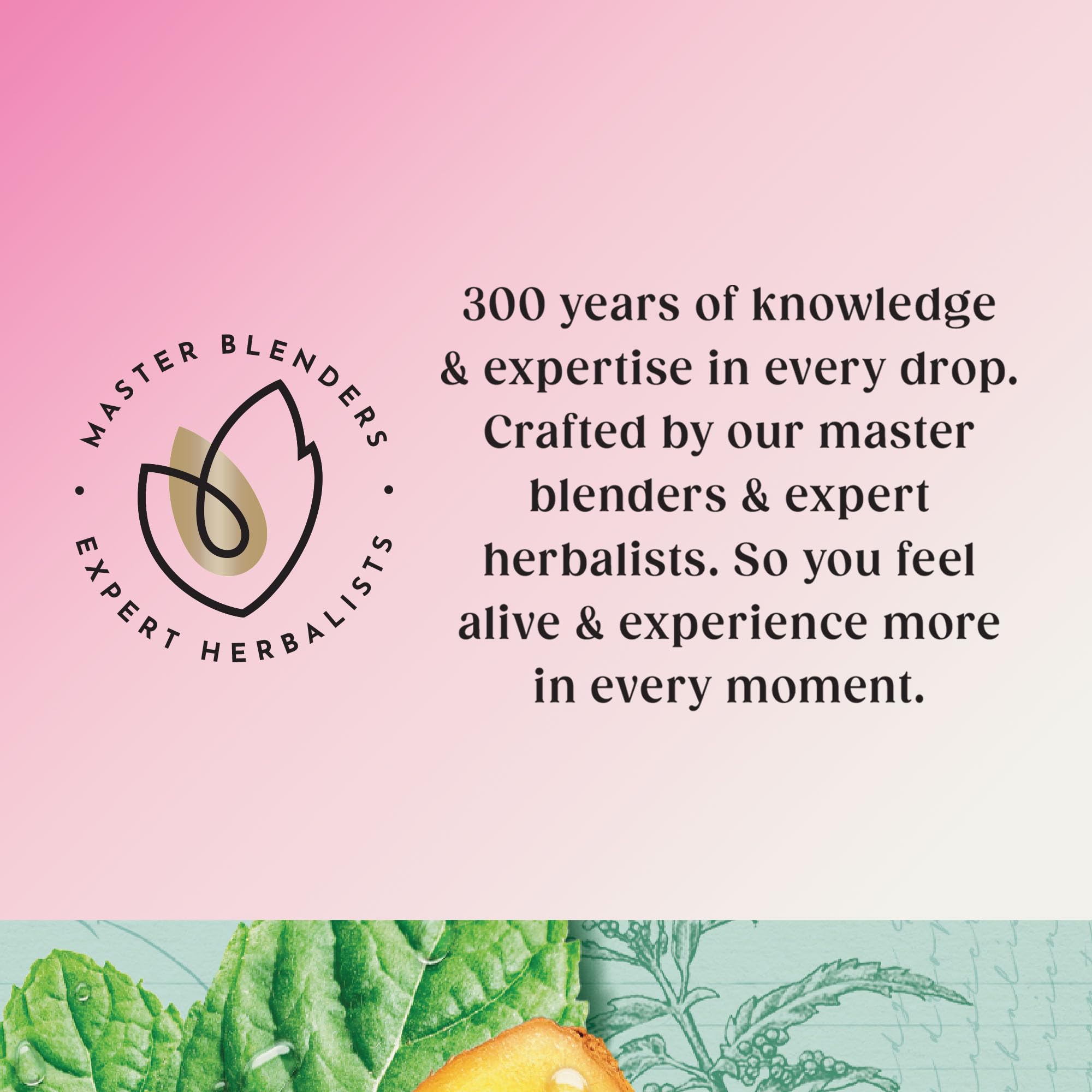 Twinings Superblends Stoffwechseltee – Pfefferminz- und gewürzter grüner Kräutertee mit Brennnessel und Zink, 80 biologisch abbaubare Teebeutel