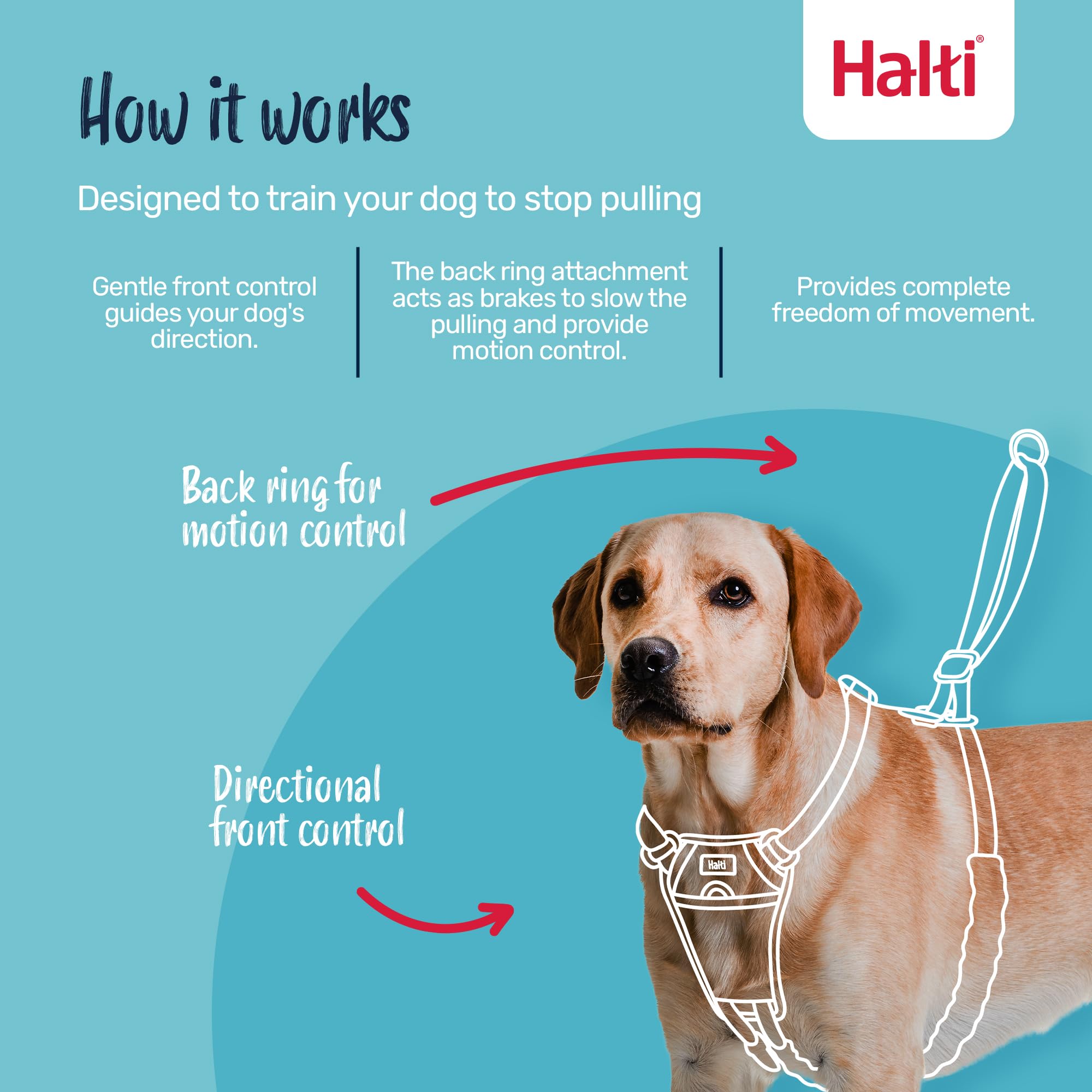 Halti No Pull Harness - Stops Pulling with Front Control Steering | Size M | Deep Walnut