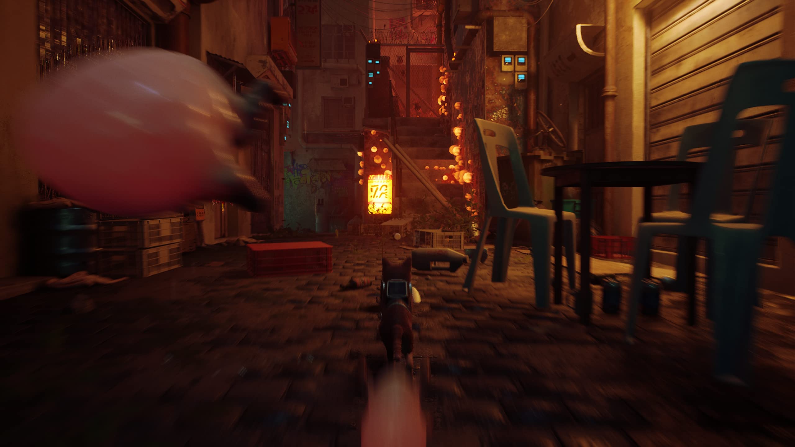 Stray - PlayStation 5 Physical Edition 6