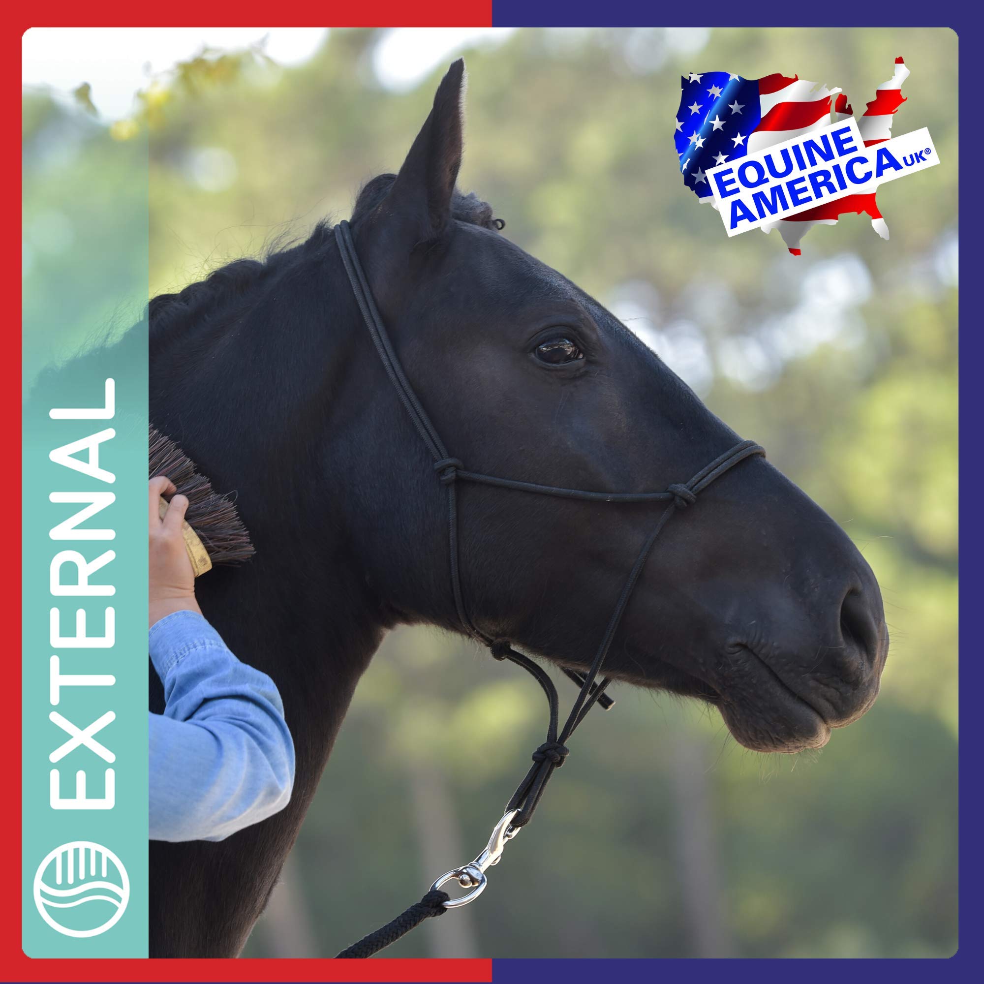 Equine America Green Ice Cooling Gel - Relief for Tired Legs & Joints | 1.5L 6