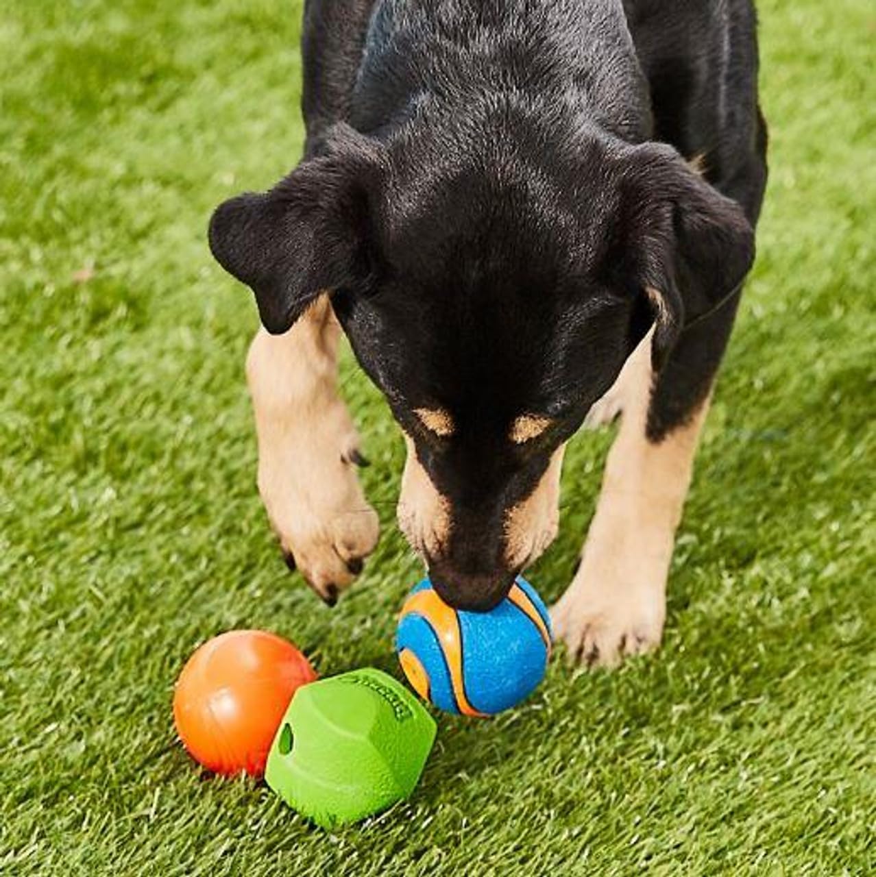 Chuckit! Fetch Medley 2 Dog Ball Toy - Launcher Compatible, Durable Rubber, Medium, 3 Pack