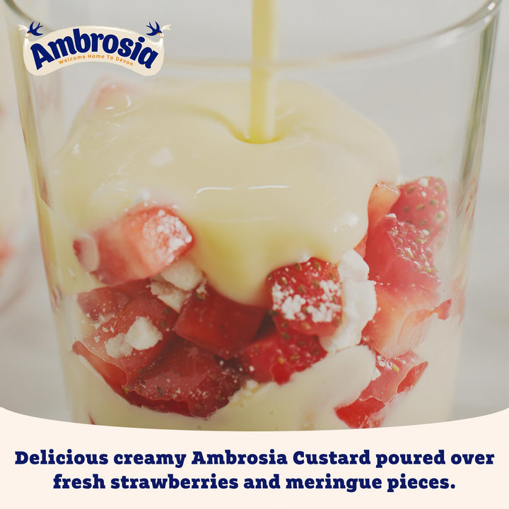 Ambrosia Light Devon Custard Pot, 30% Less Sugar & Fat, Calcium-Rich Dessert
