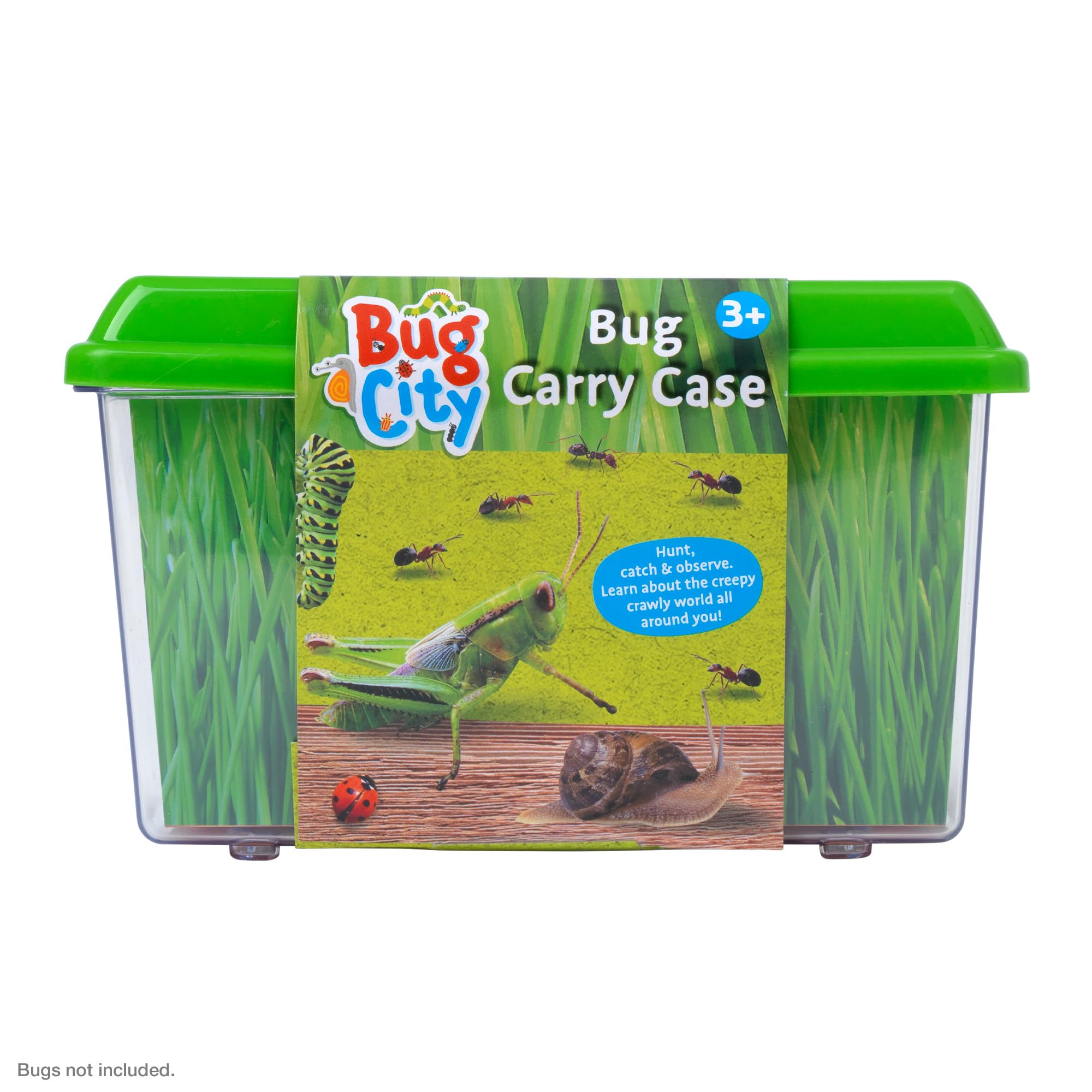 Peterkin Classics Bug City Bug Carry Case | Plastic | Unisex Children | Model 11834 5