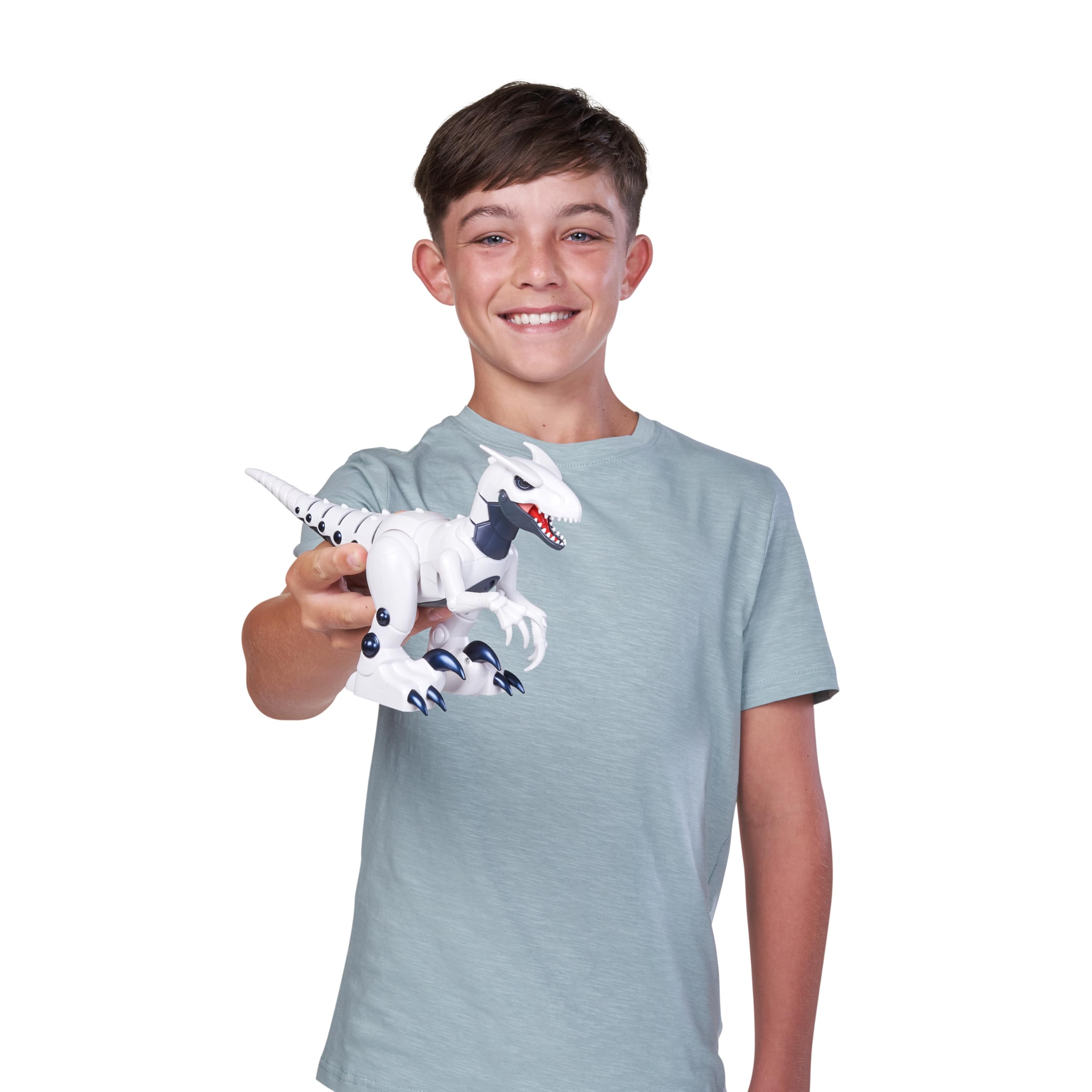 Robo Alive Dino Raptor Robotic Toy by ZURU - Electronic Dinosaur for Kids 3+ 3