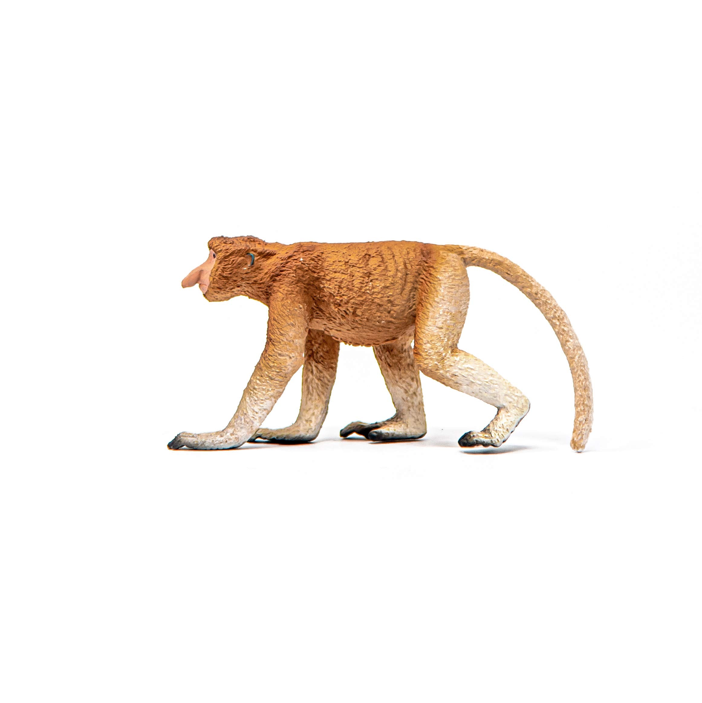 SCHLEICH Proboscis Monkey - Detailed Wildlife Figurine for Kids 3-8 Years