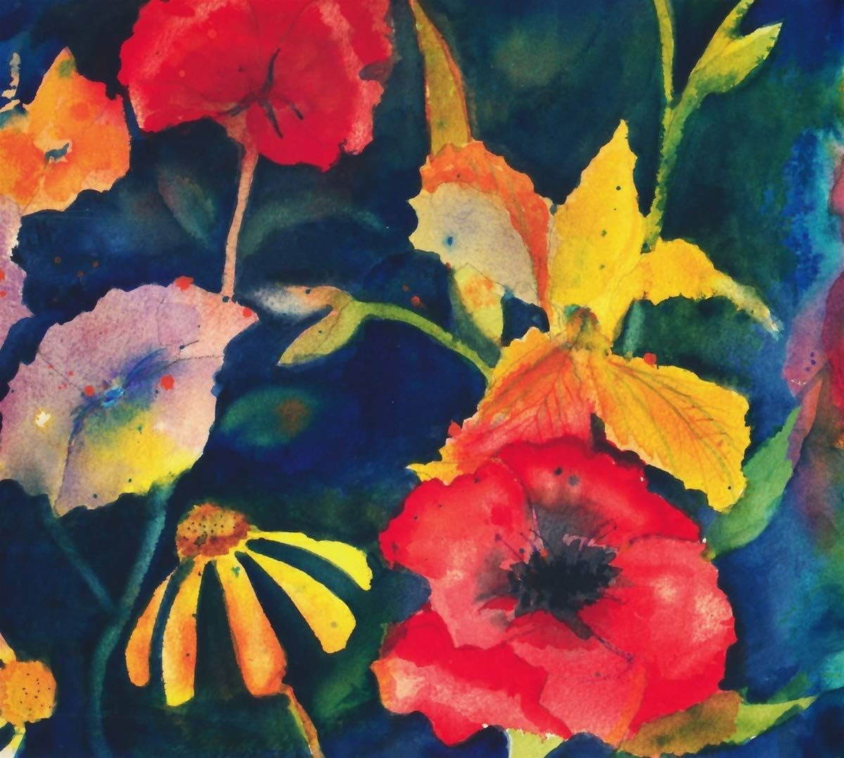 Adrianne Lenker - songs and instrumentals [Audio CD] 3