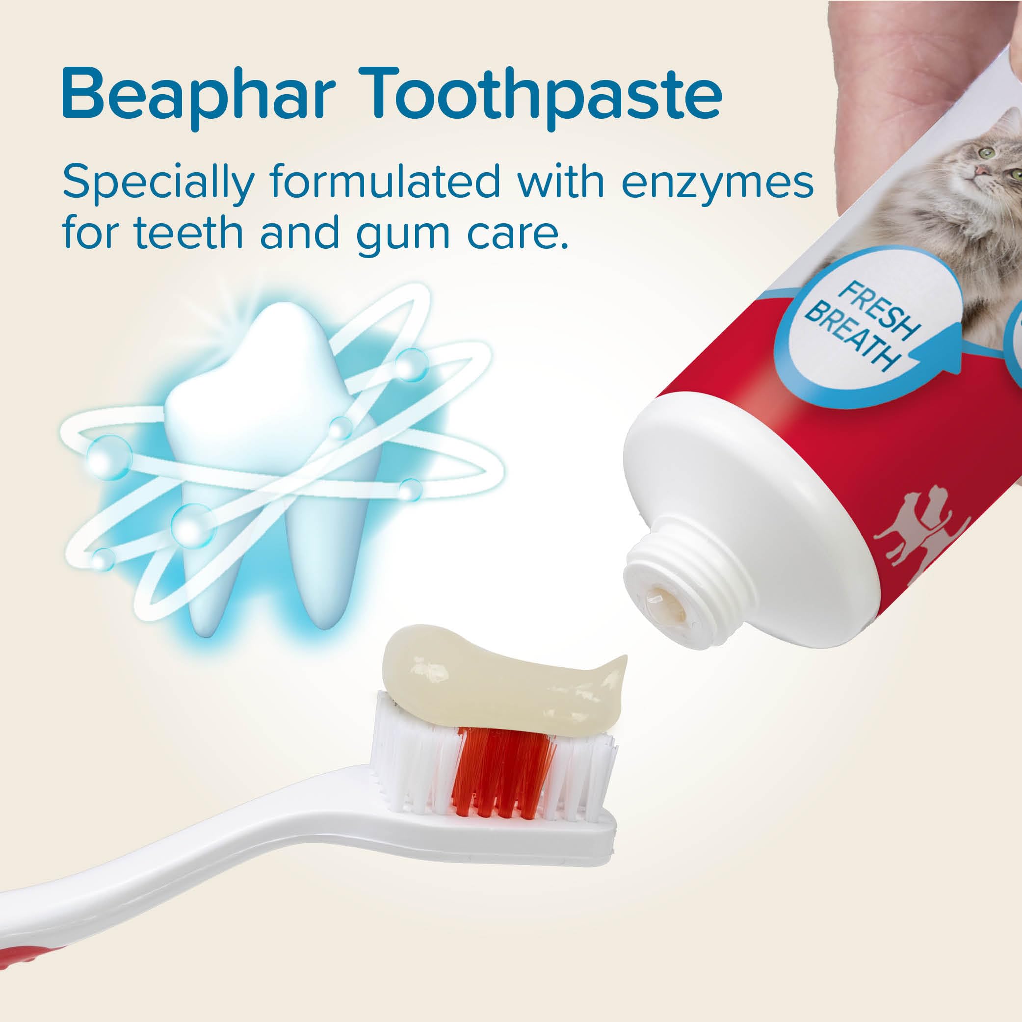 Beaphar Liver Flavour Toothpaste with Enzymes for Dogs & Cats | 100g | Fluoride & Xylitol Free