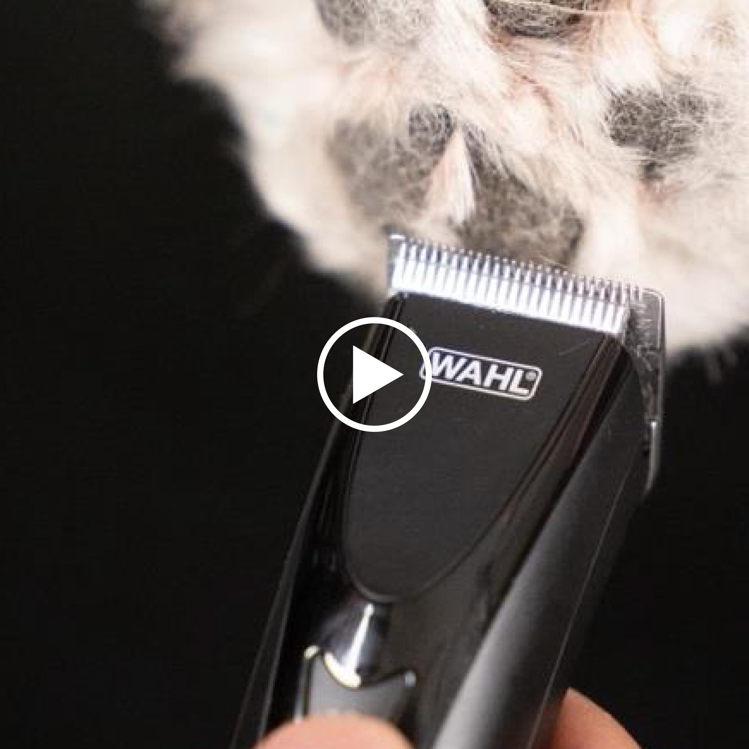 Wahl Stainless Steel Attachment Combs for Prime & Competition Blades | Mixed Color | 540g 7