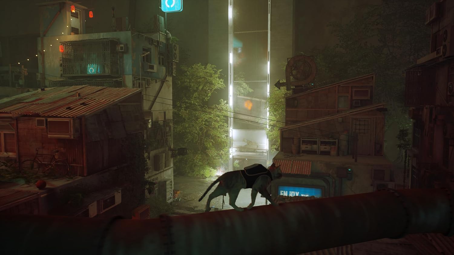 Stray - Nintendo Switch Physical Edition 4