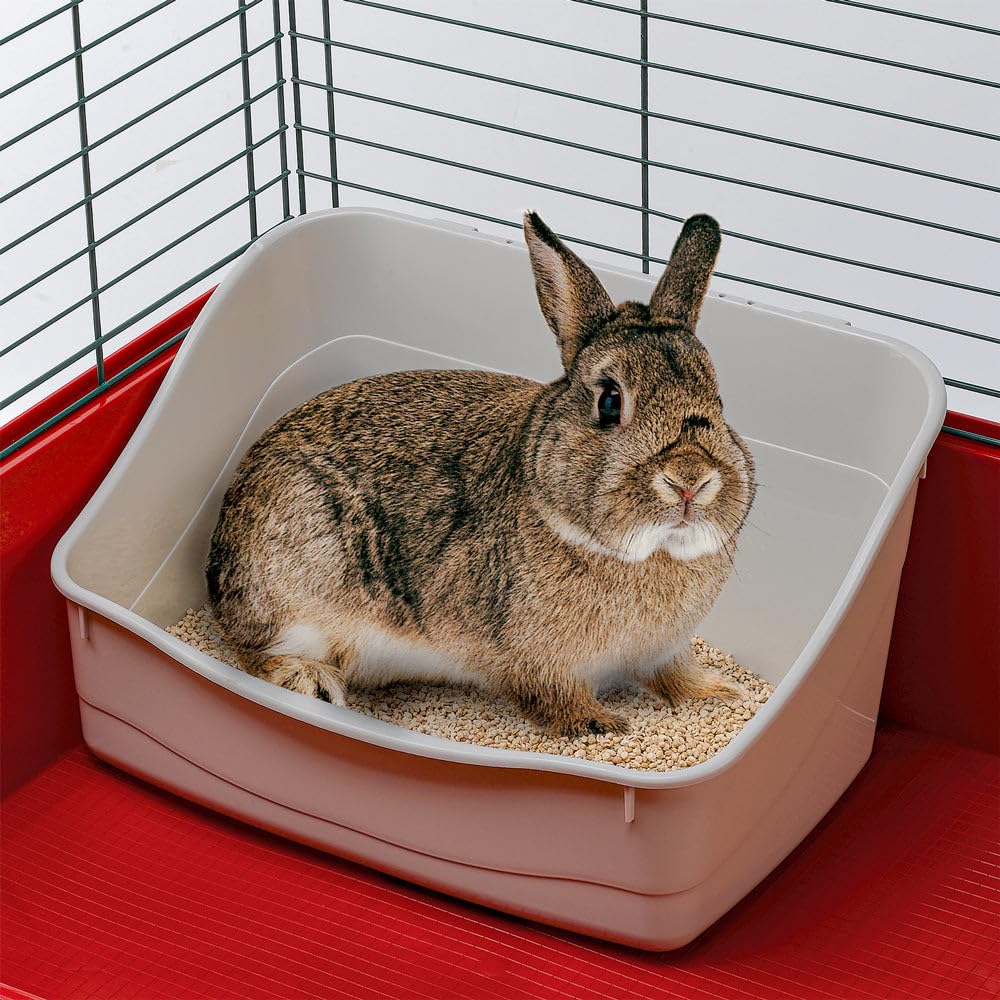 Ferplast L305 Plastic Rabbit Litter Tray for Rodents and Small Animals | 37x27x18.5 cm | Easy to Clean 2