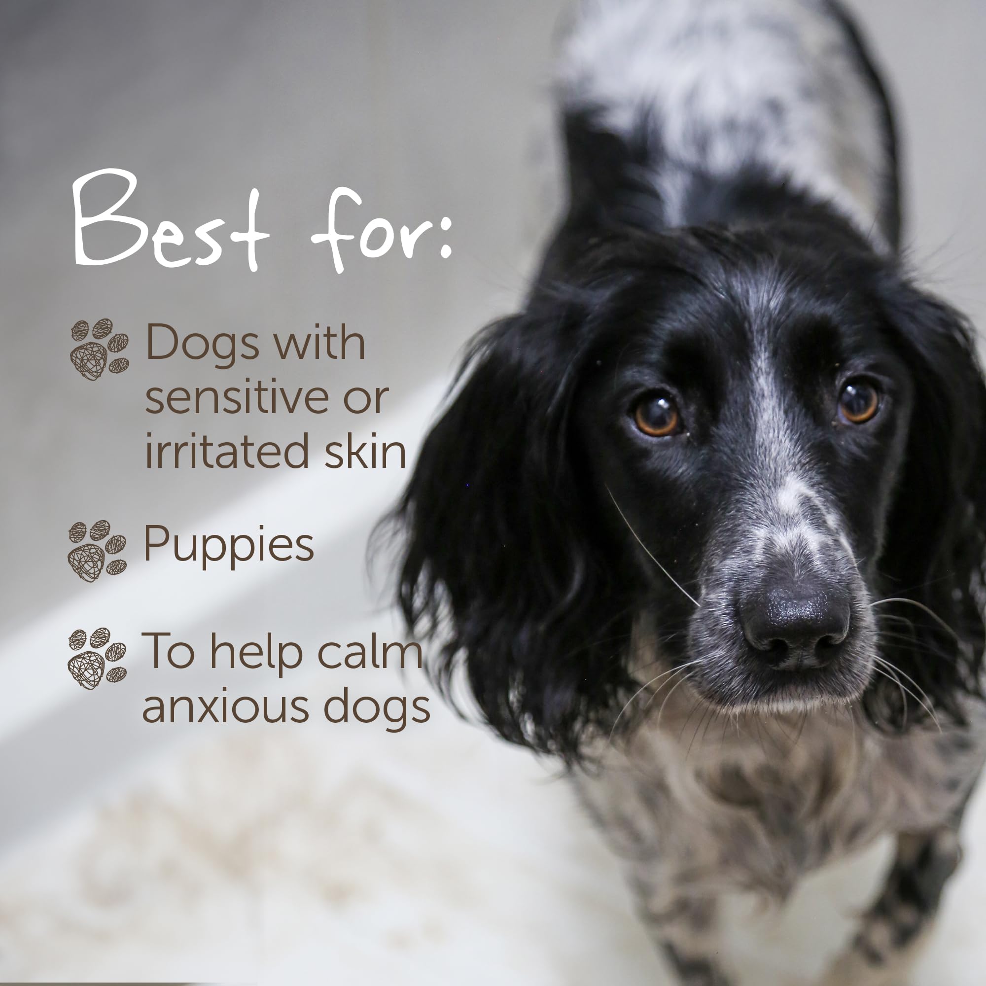 LITTLE BEAST Sensitive Dog Shampoo Bar - Soothing Oatmeal & Sweet Almond Oil | Chamomile Scent 6