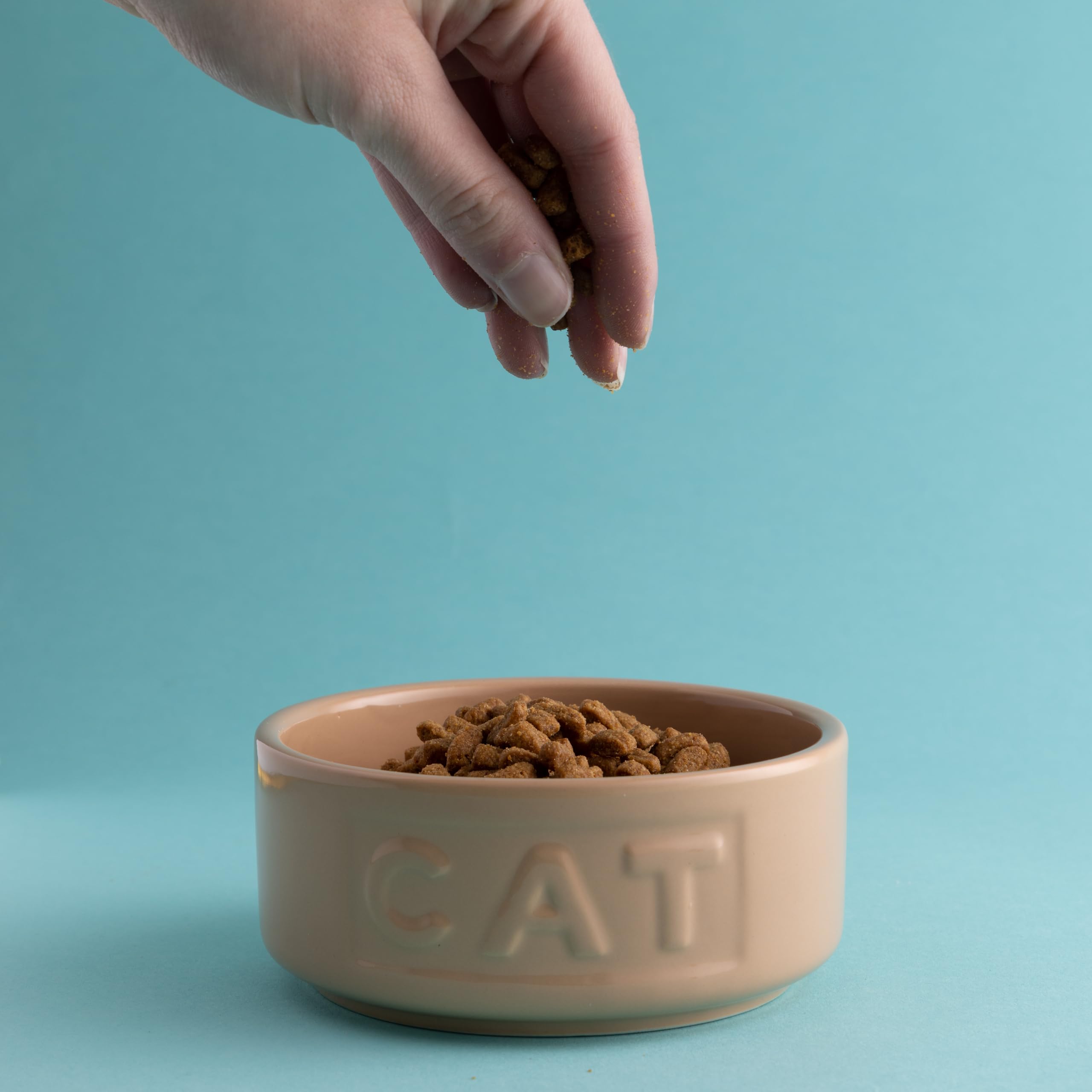 Mason Cash Cane Collection 13 cm Stoneware Cat Bowl - Durable & Stable | 400ml Capacity