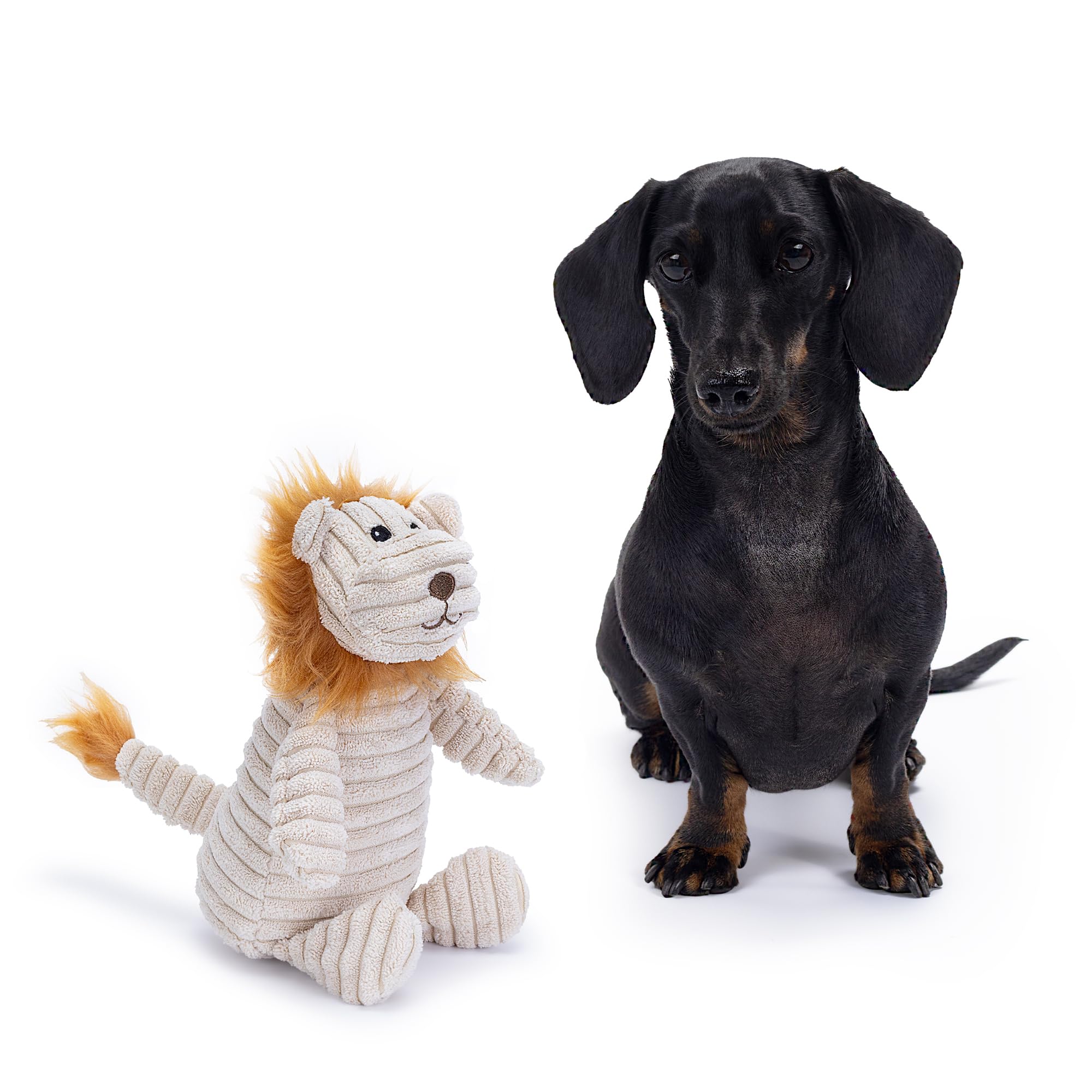 Zappi Co Brown Lion Plush Dog Toy with Squeaker | Corduroy & rPET Filling | For Small/Medium Dogs 5