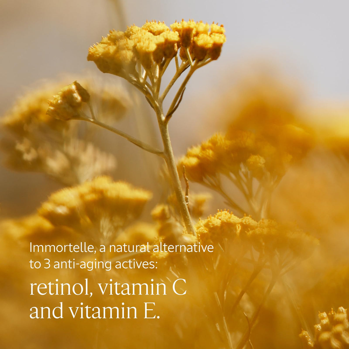 L'OCCITANE Immortelle Overnight Reset Serum - Hydrates, Firms & Smooths Skin | 30 ml
