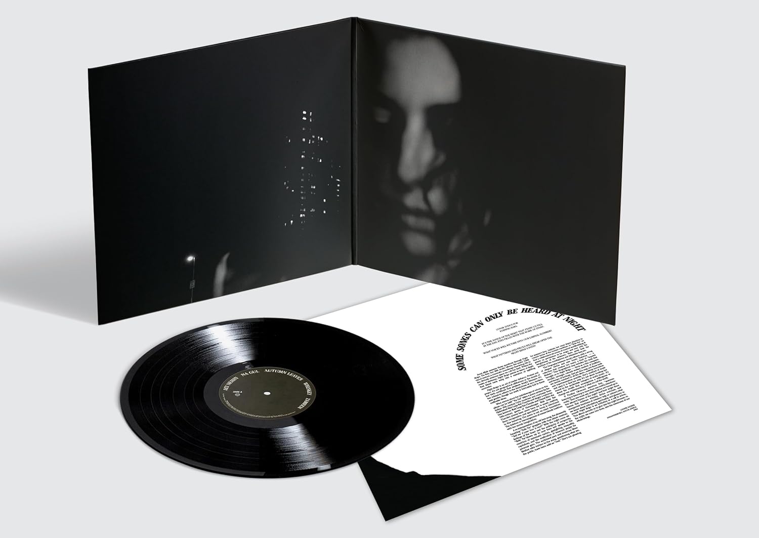 Night Reign [VINYL] 2