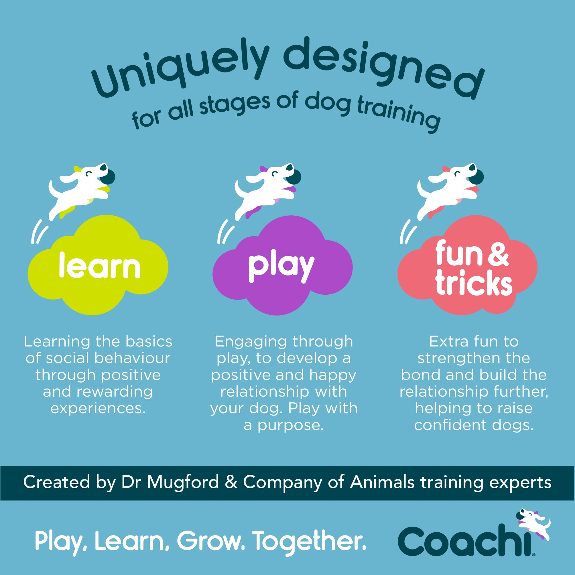 Coachi Tuggi Hide Interactive Dog Chew Toy - Strong Bungee & Neoprene Handle | Navy, Lime, Light Blue 5