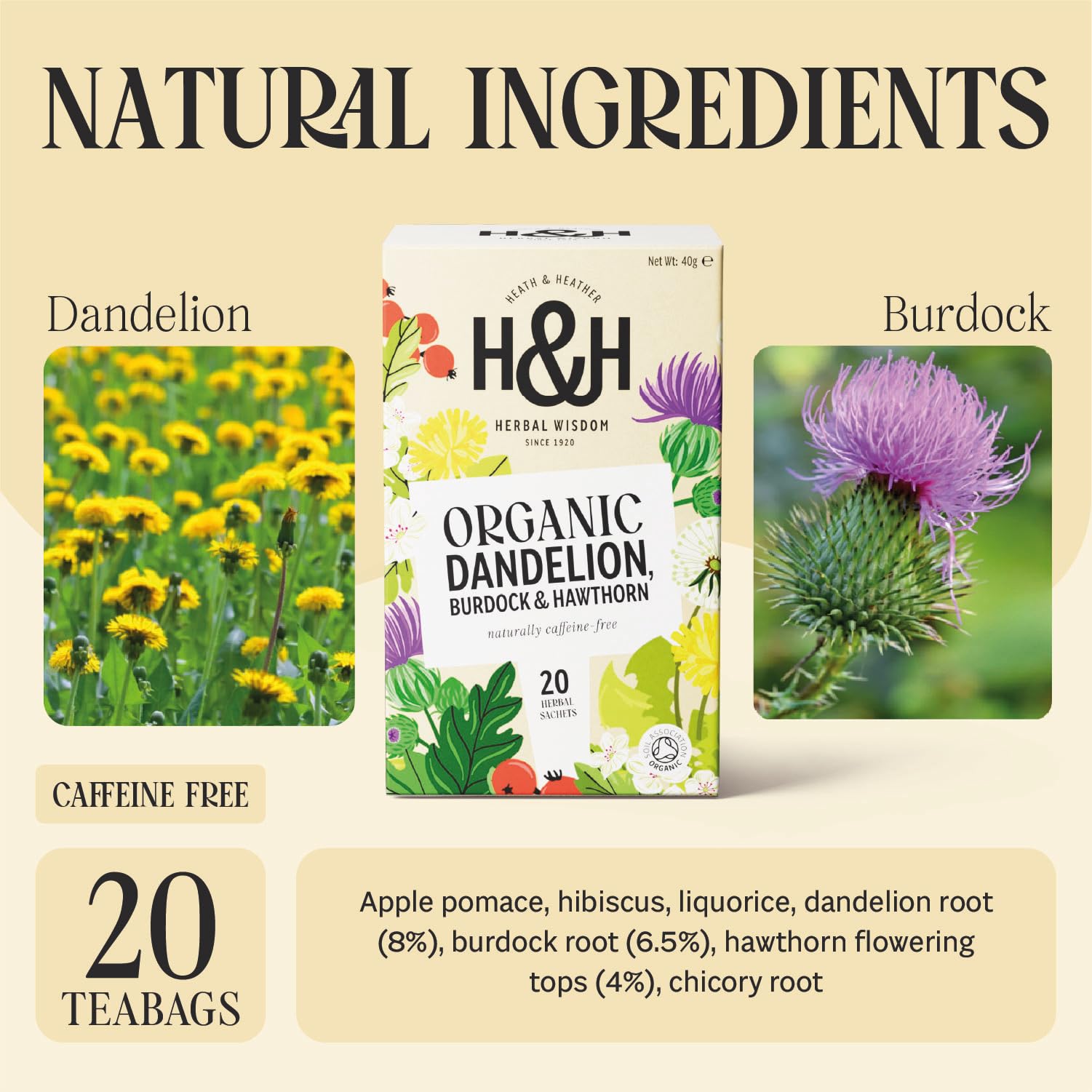 Heath & Heather Organic Dandelion, Burdock & Hawthorn Tea - Detox & Heart Health | 20 Count 2