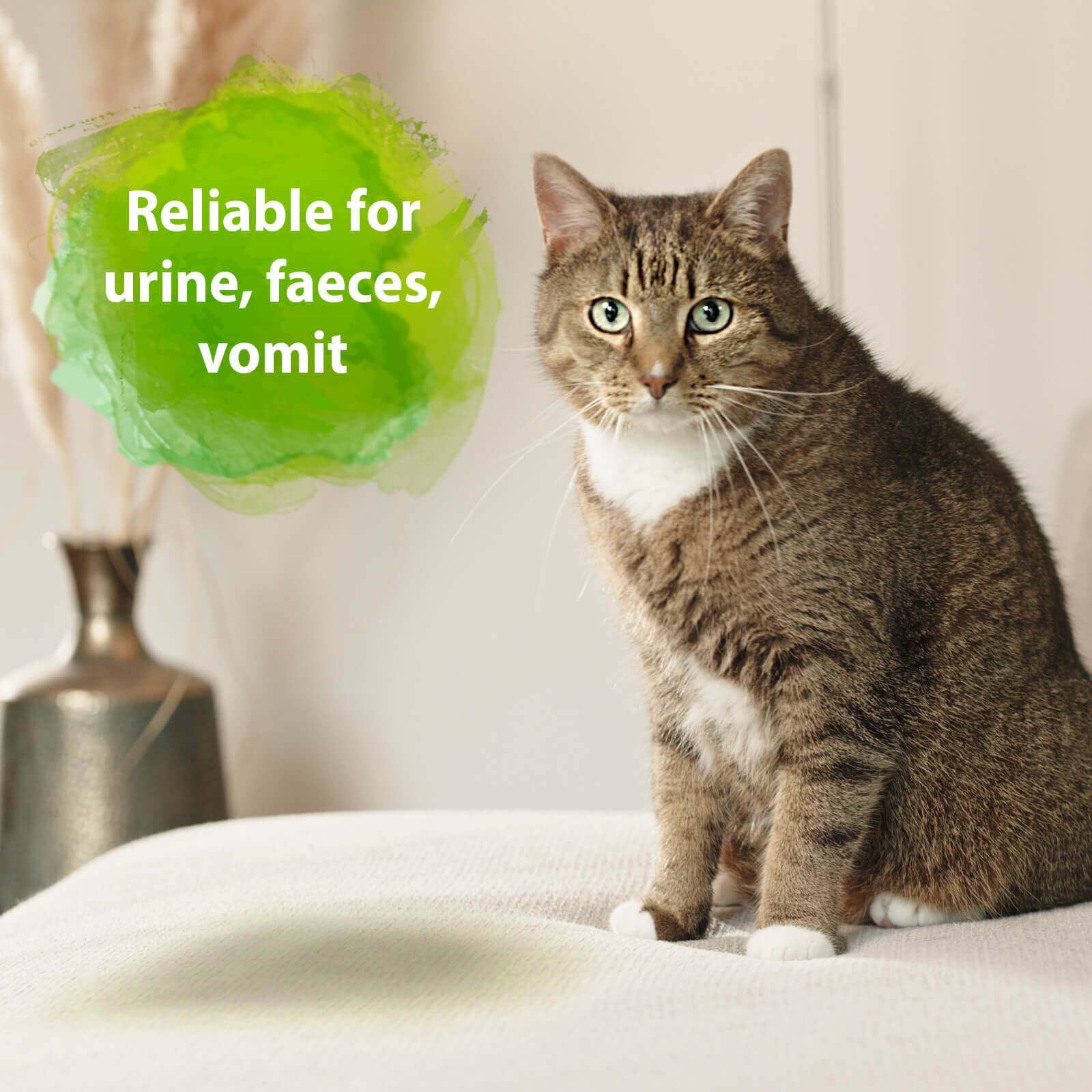 Bactador Enzyme Cleaner for Cat Pee Spray - Permanent Odour Removal | 500ml | Unscented 2