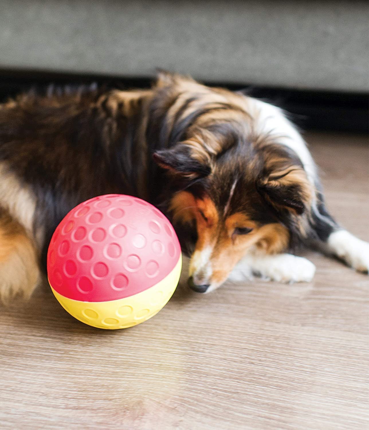 Outward Hound Nina Ottosson Treat Tumble Interactive Dog Toy - Level 1 Beginner Puzzle | Red | Plastic 2