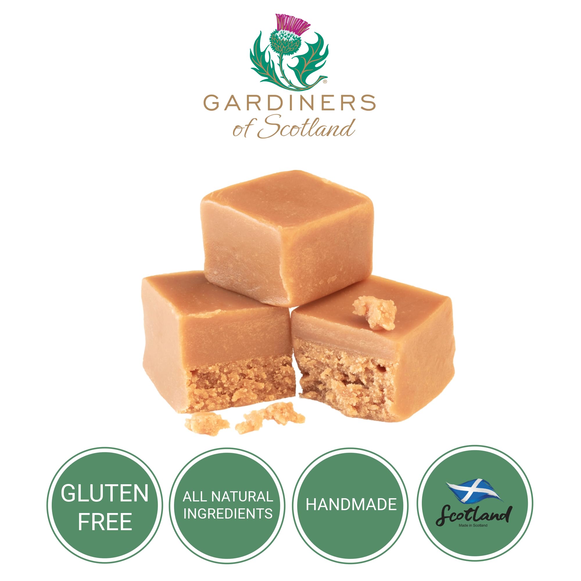 Gardiners of Scotland Luxury Assorted Fudge Tin 300g - Clotted Cream, Ginger, Apple & Cinnamon, Strawberry & Cream, Rum & Raisin 6