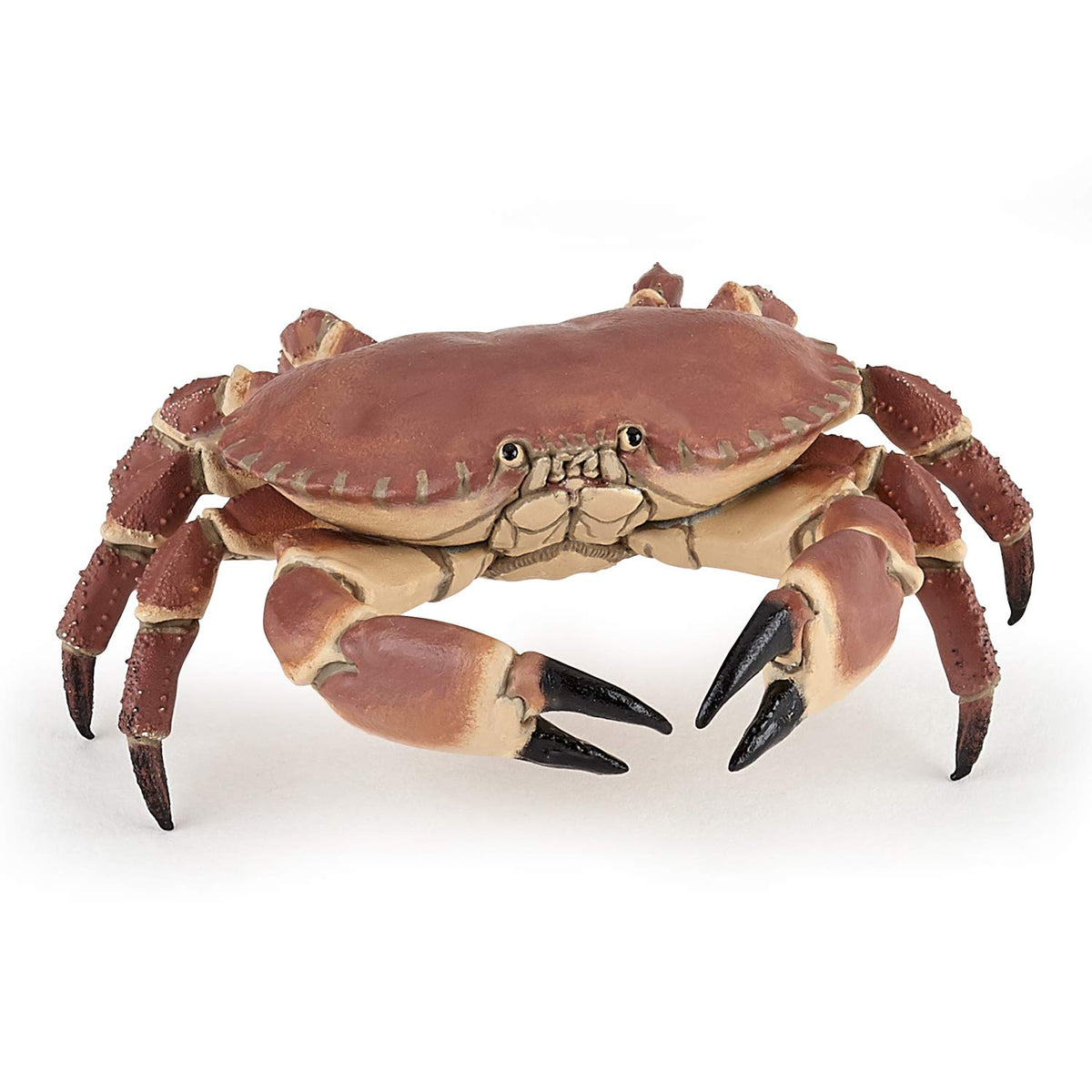 Papo Marine Life Crab Figurine - Realistic Edible Crab, Ages 3+