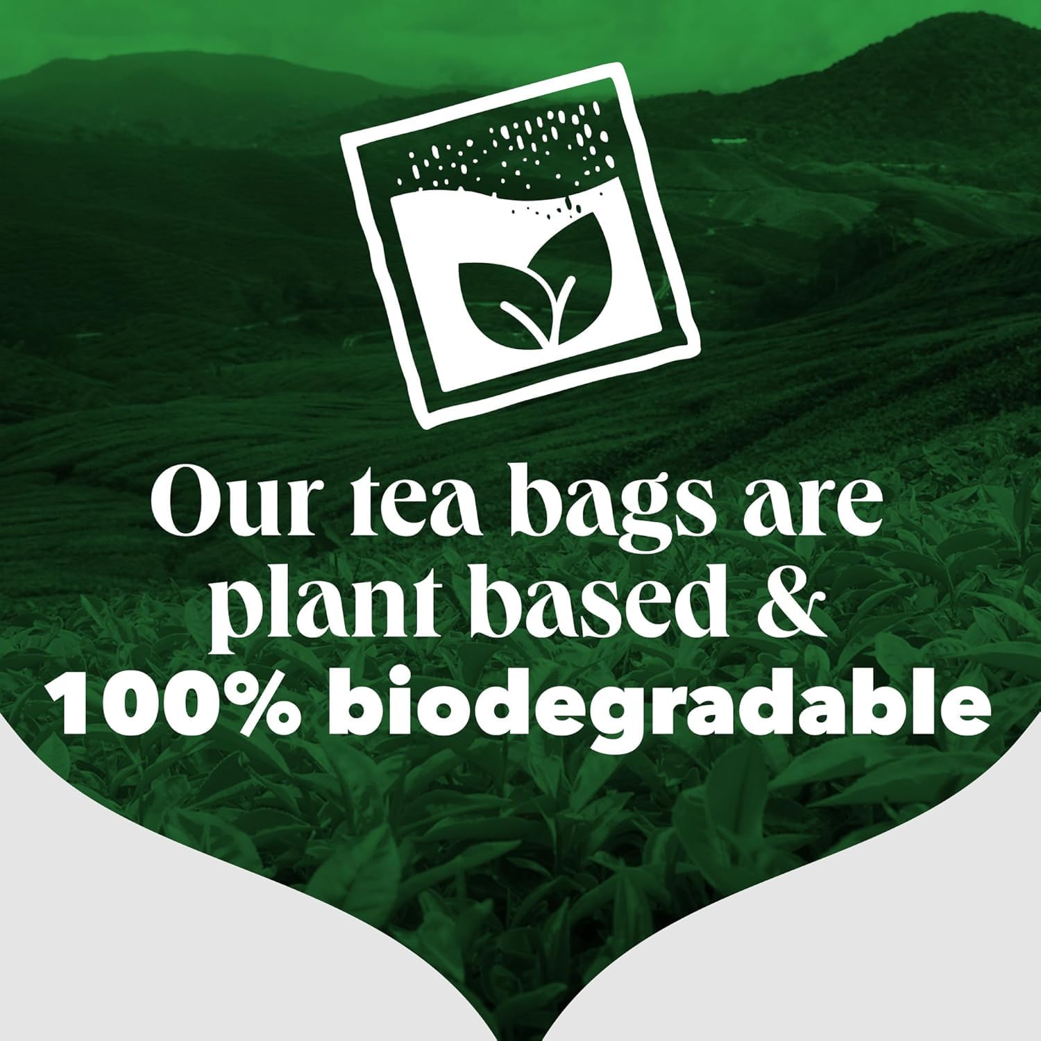 PG Tips - Original Black Tea Bags 400 Count, Full-Bodied & Refreshing 4