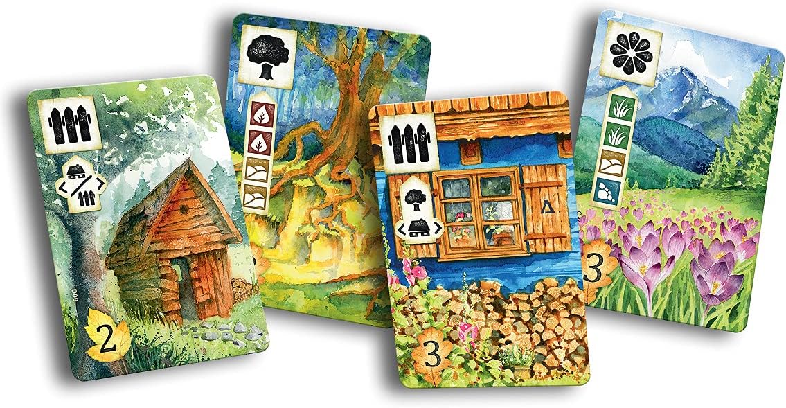 Rebel Centrum Meadow Board Game 5