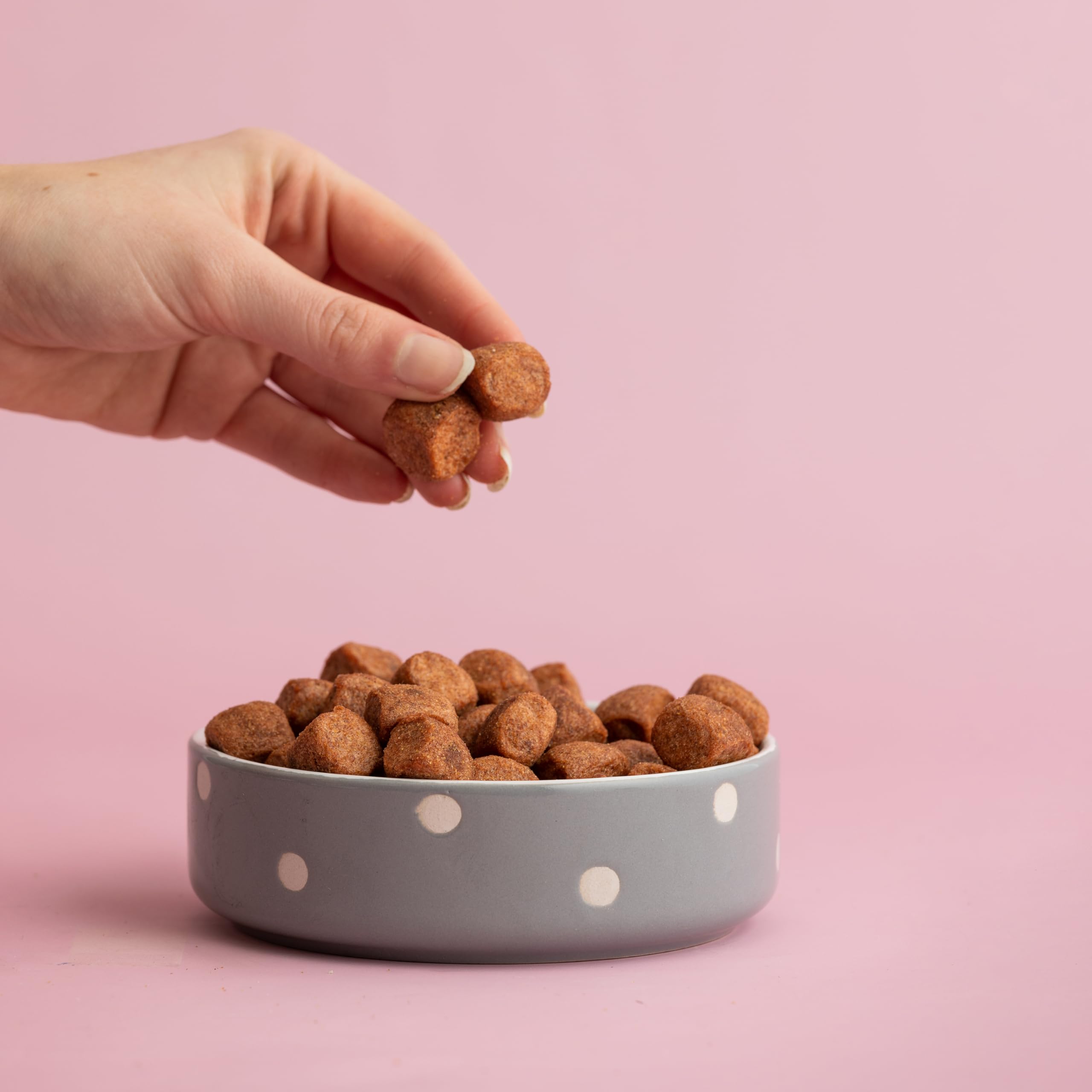 Mason Cash Polka Dot Pet Bowl - Grey, 13 cm | Dishwasher Safe | For Wet/Dry Food & Water