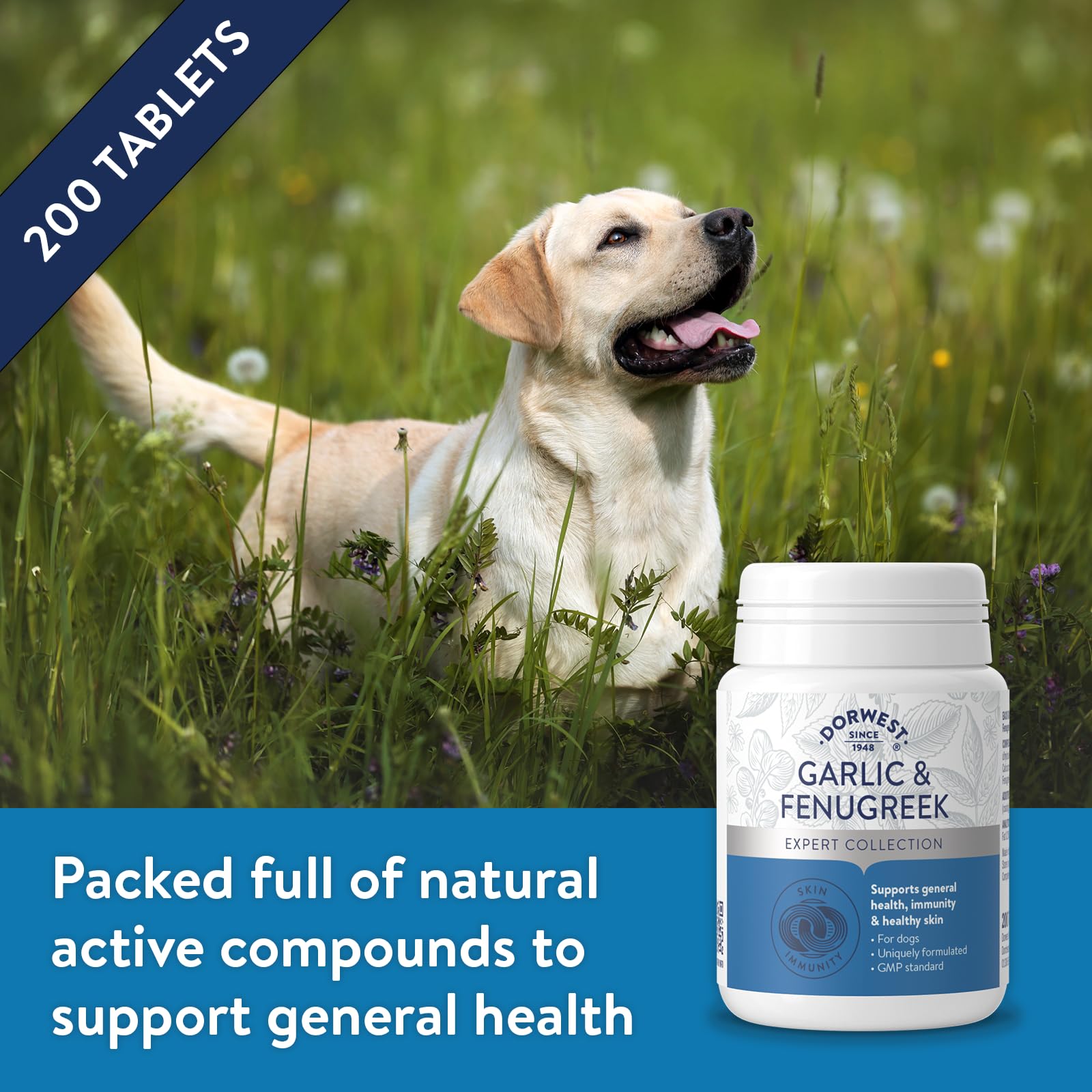 DORWEST HERBS Garlic and Fenugreek Tablets for Dogs - 200 Count | Immunity & Joint Support 2