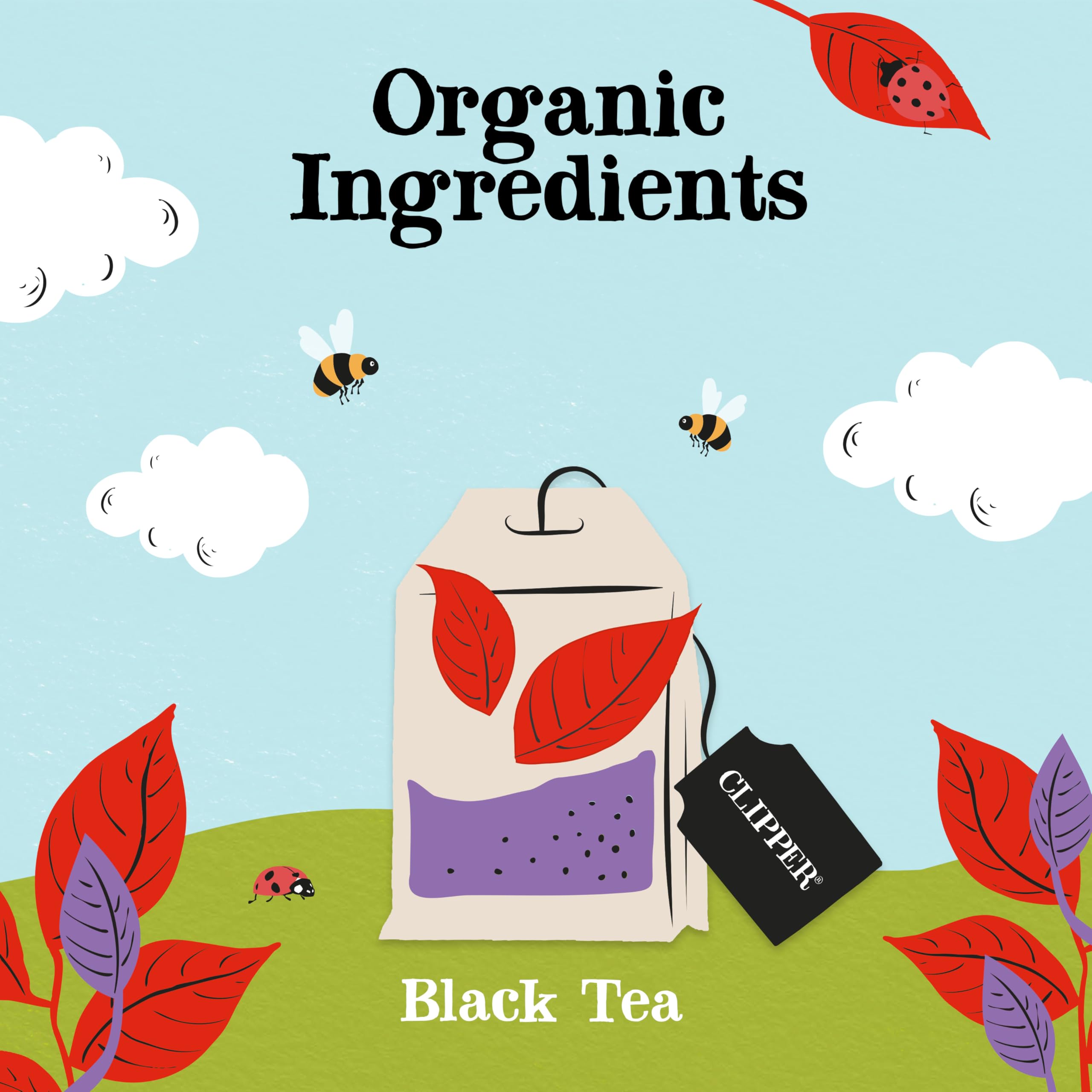 Clipper Organic English Breakfast Tea - Full-Bodied Assam & Ceylon Blend | 50 Count Teabags 3