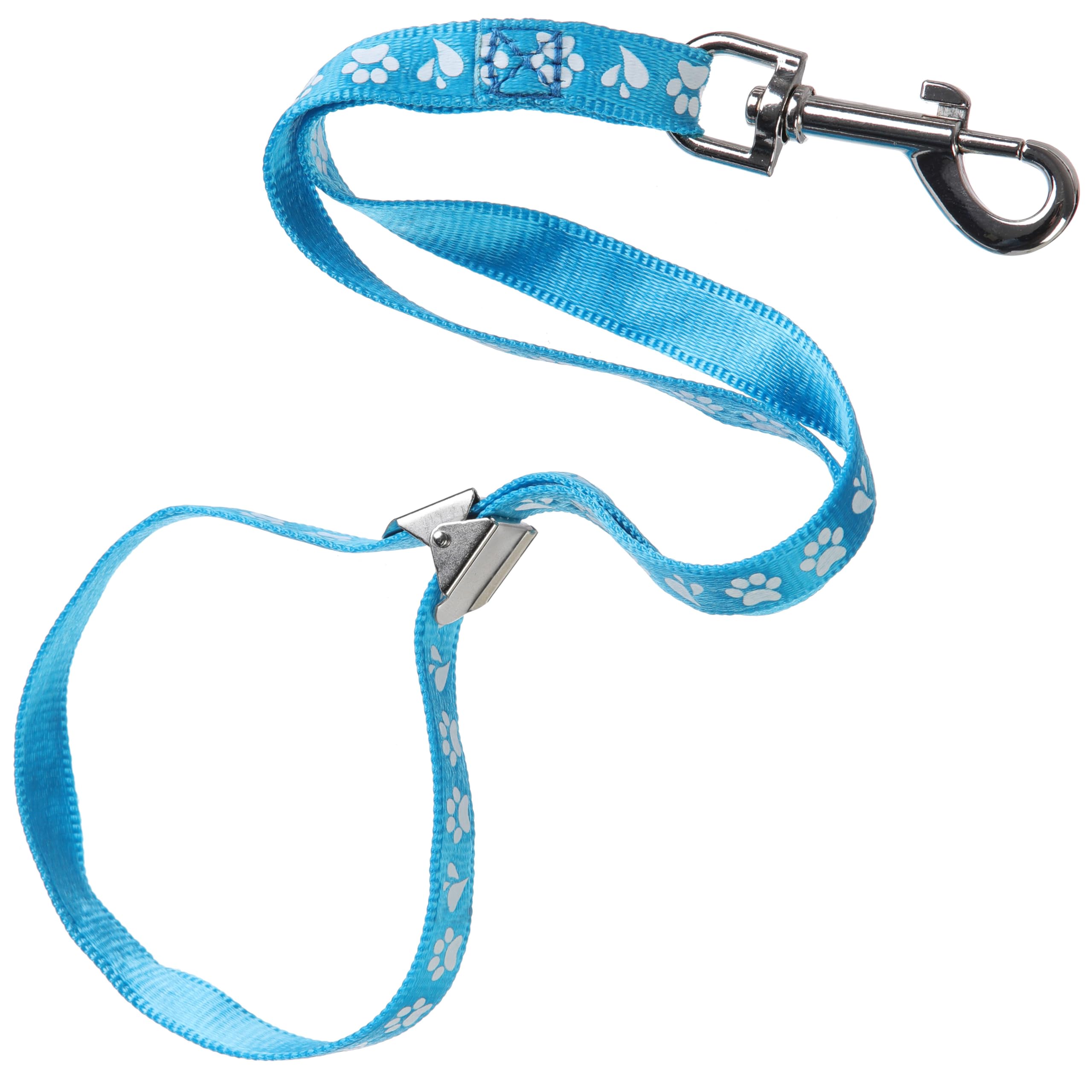 GROOM PROFESSIONAL Ajax Dog Grooming Loop Leash with Metal Slider | 42cm Nylon | Cyan Blue 1