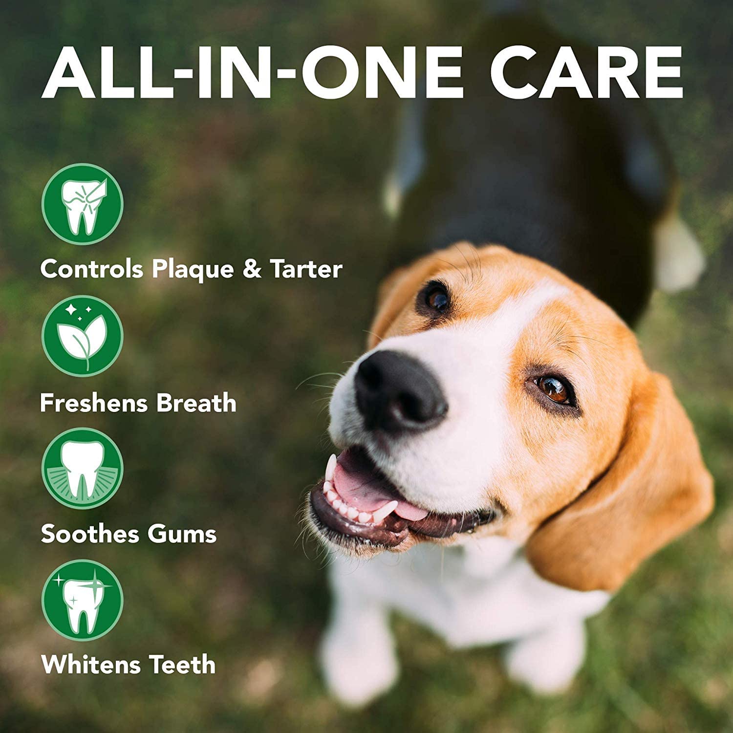 Vet's Best Natural Dental Powder for Dogs - Eliminates Bad Breath | 90g 3