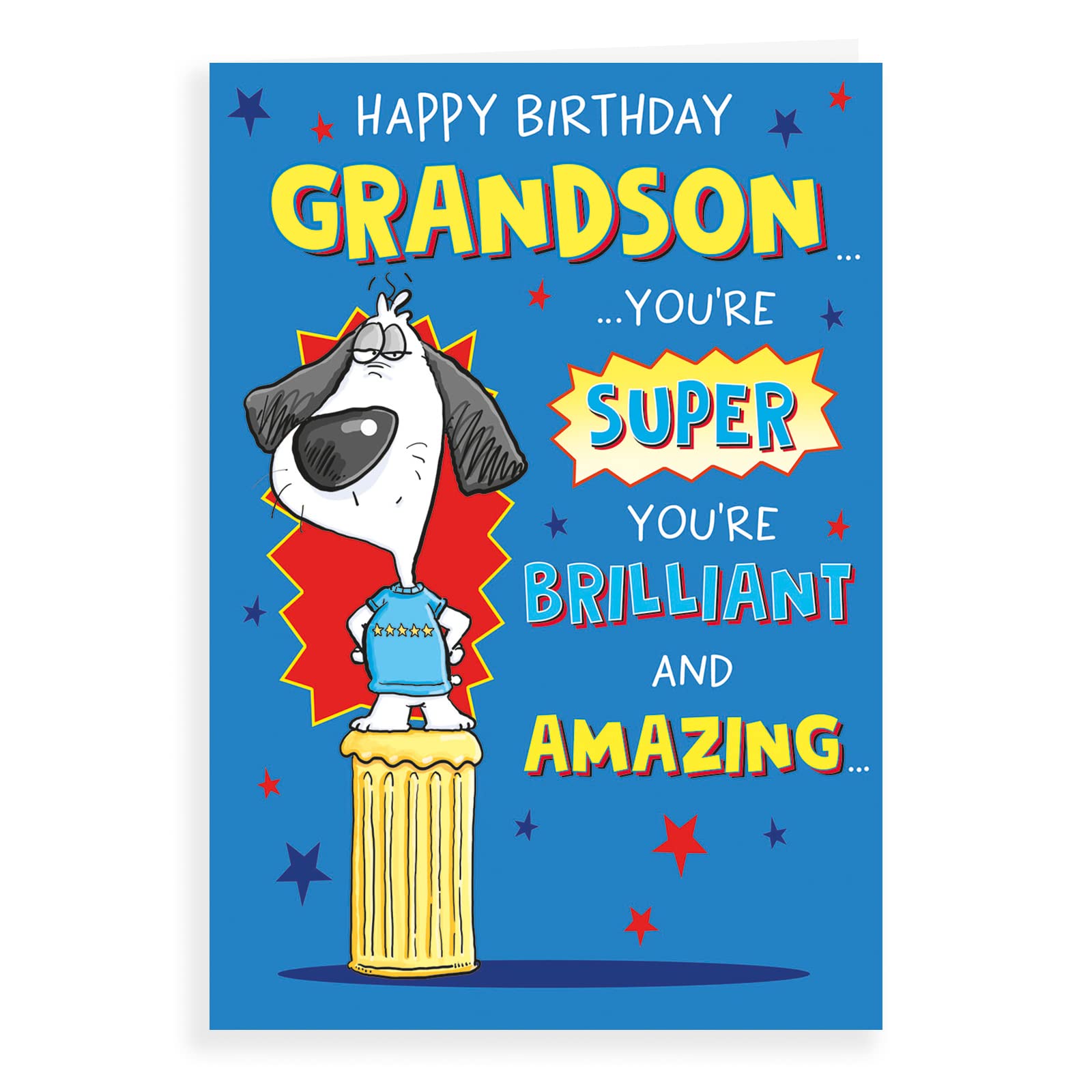 Piccadilly Greetings Humour Birthday Card for Grandson - 9 x 6 Inches | Made in UK