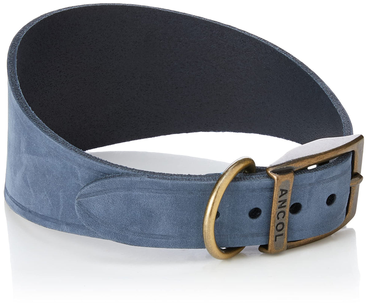 Ancol Timberwolf Greyhound Leather Dog Collar - Blue, 34-43cm
