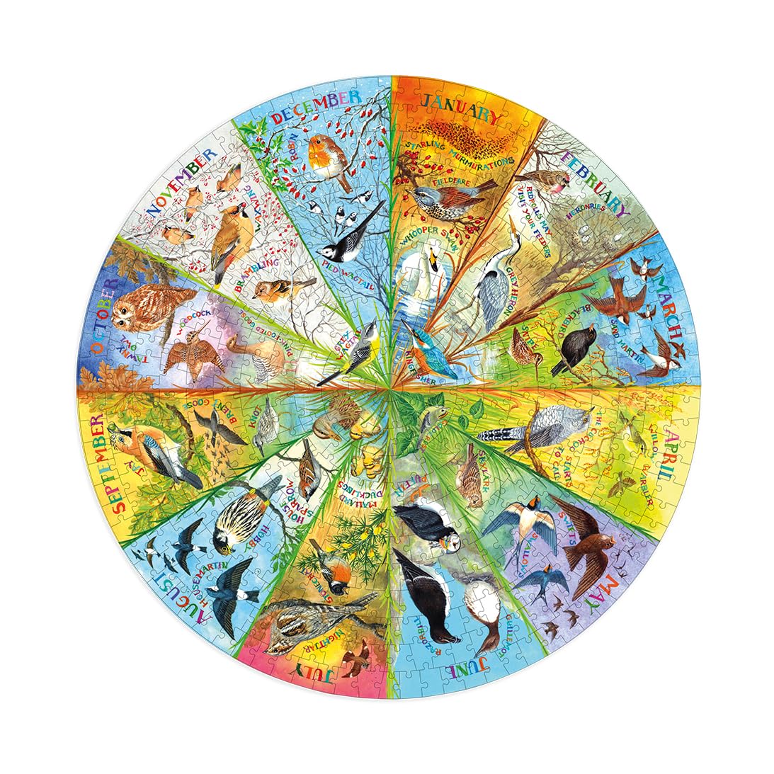 Gibsons RSPB Birds of the Year 500 Piece Circular Jigsaw Puzzle | 49 cm Diameter 8