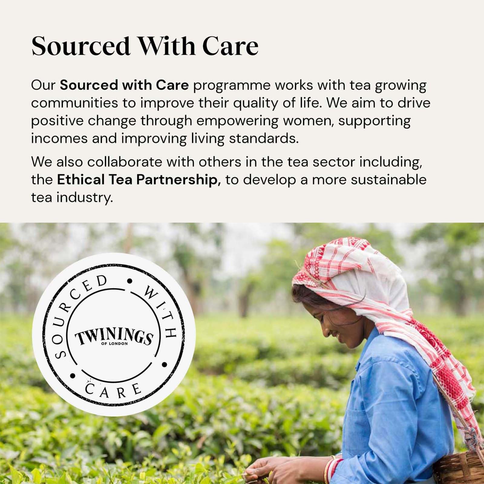 Twinings Superblends Wellbeing Collection - Defence, Glow, Digest, Detox & Sleep Tea Bags, 80 Biodegradable Tea Bags 3