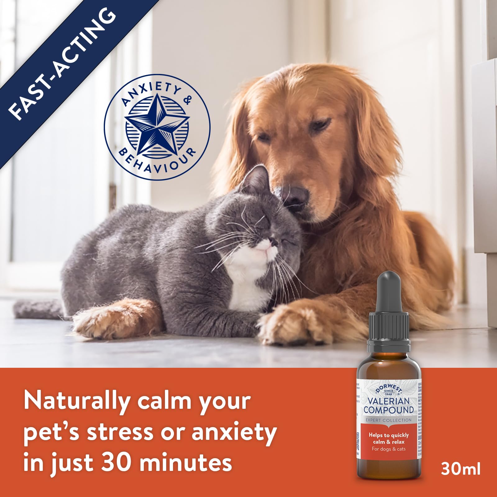 DORWEST HERBS Valerian Compound Calming Liquid Drops for Dogs & Cats | 30ml | Fast Acting, Non-Drowsy 2