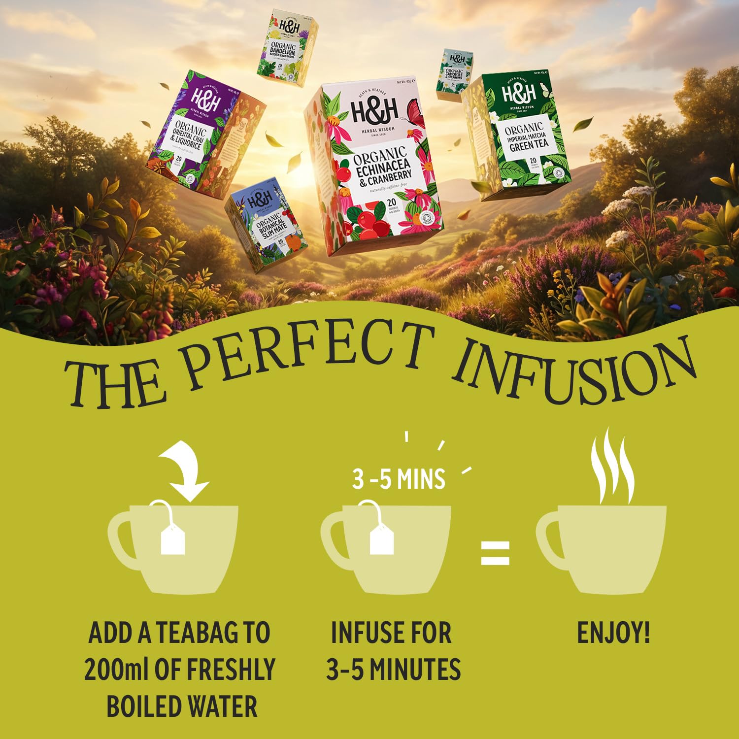 Heath & Heather Organic Nettle Tea - 20 Count Teabags | Detox & Immunity Support | Caffeine-Free 4