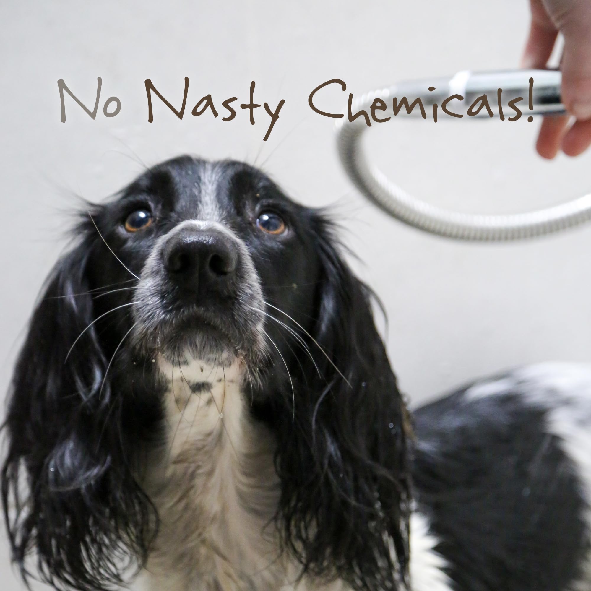 LITTLE BEAST Sensitive Dog Shampoo Bar - Soothing Oatmeal & Sweet Almond Oil | Chamomile Scent 5