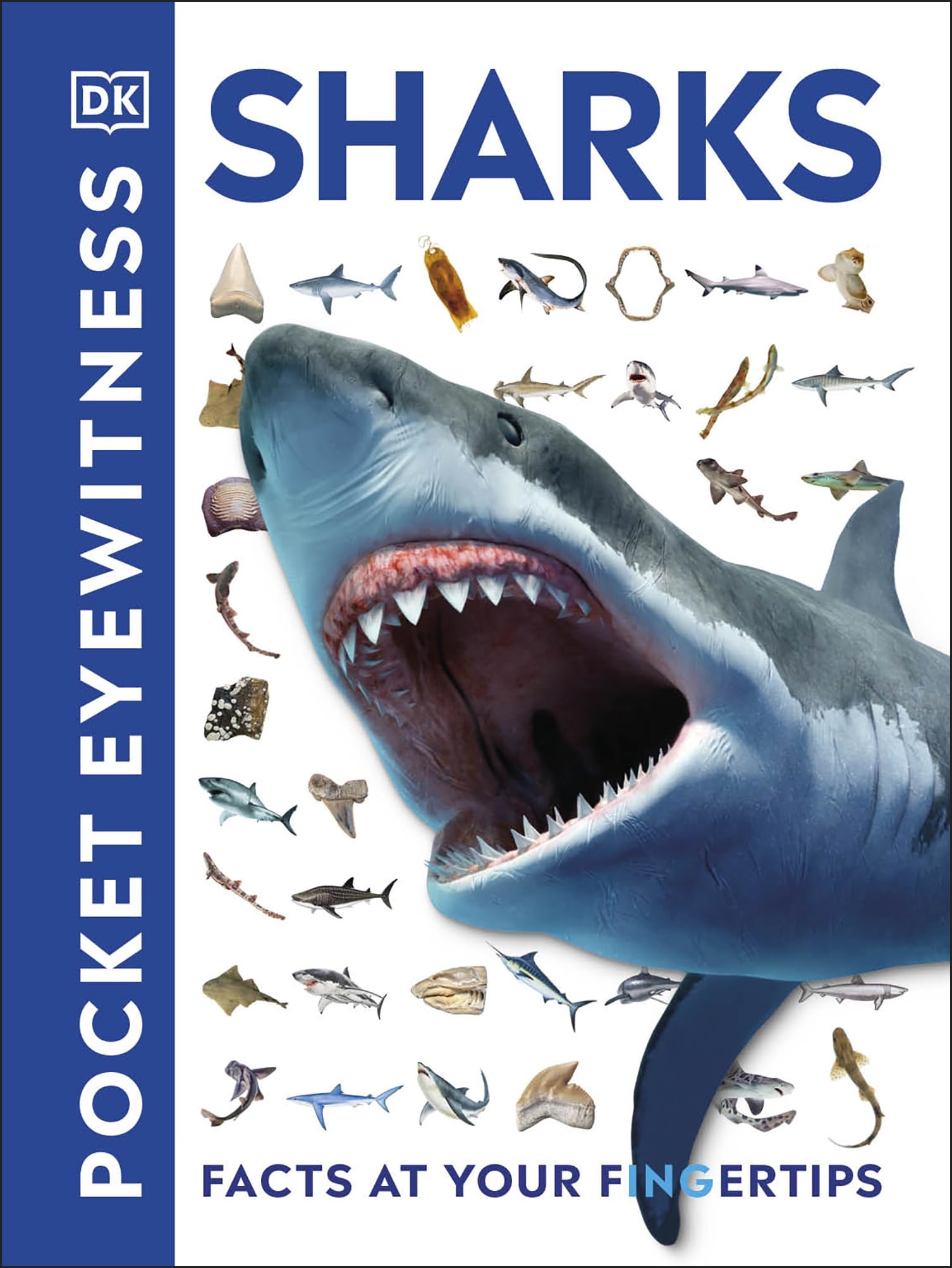 DK Pocket Eyewitness Sharks - Aquatic Creatures Book | Ages 9-12 | 160 Pages
