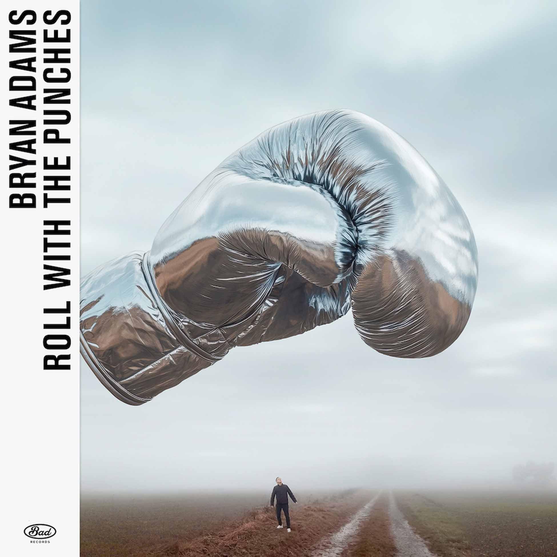 Bryan Adams - Roll With The Punches [Audio CD] 1