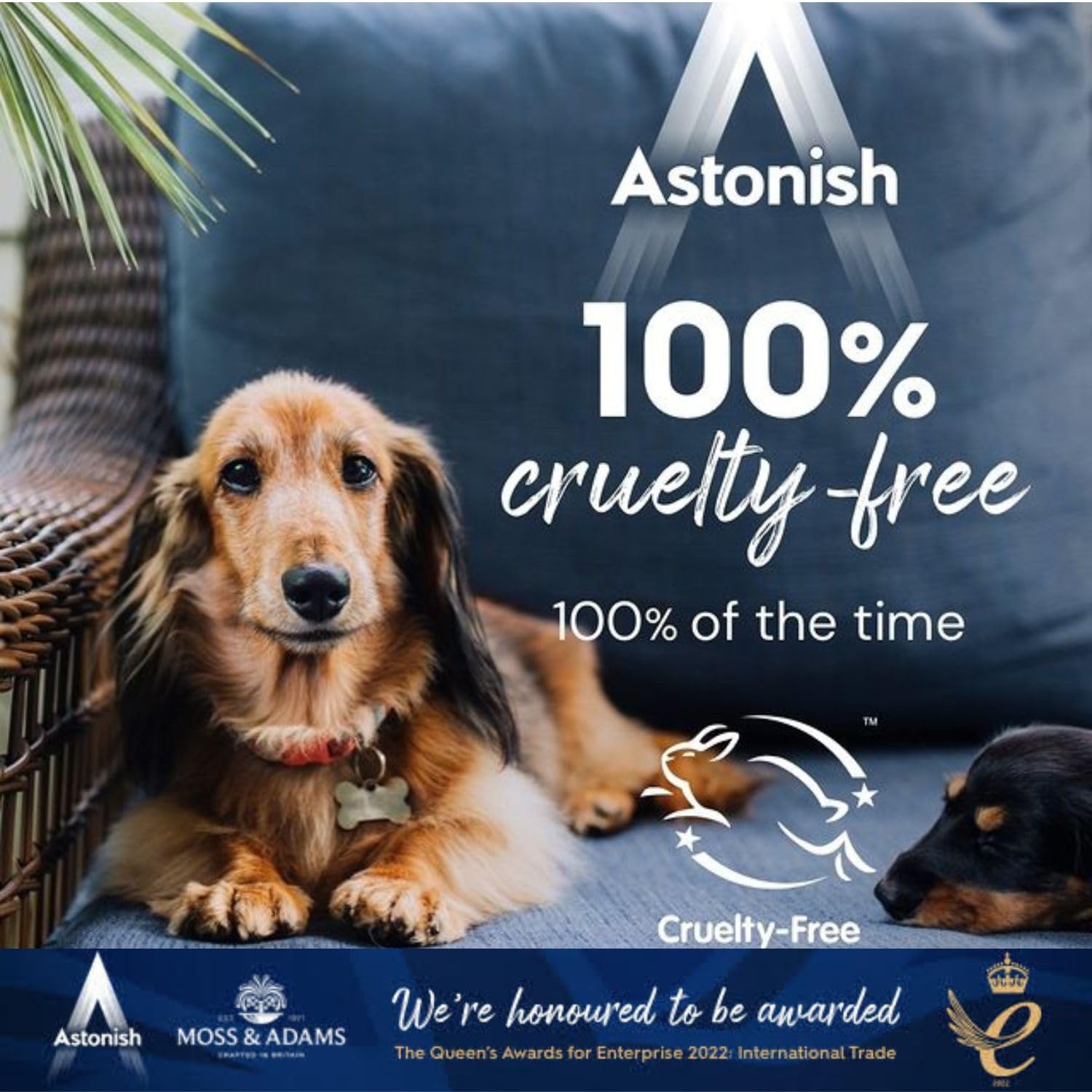 Astonish Kitchen Cleaner - Antibacterial, Zesty Lemon Scent, 750ml 6