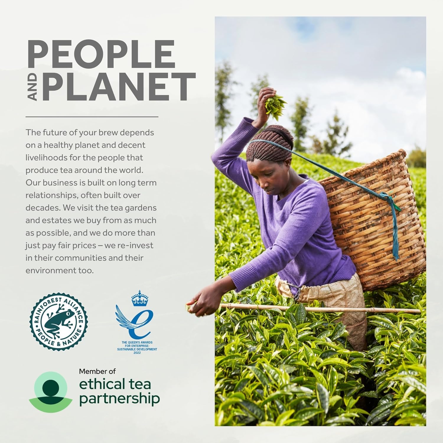 Yorkshire Tea - Cherry Bakewell Brew Flavoured Black Tea, 4 Boxes of 40 Tea Bags (160 Total) 6